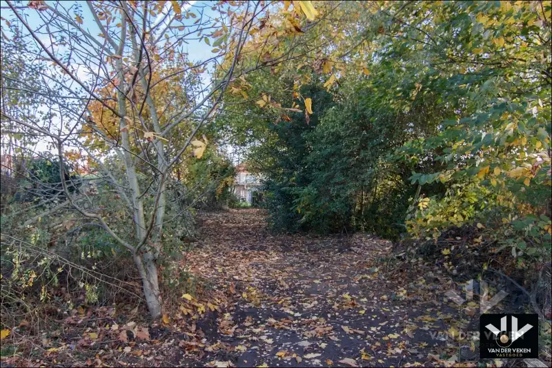 Karaktervolle, te renoveren woning op een perceel van ruim 12 aren. Ideaal gelegen nabij het centrum van Tongeren! foto 5