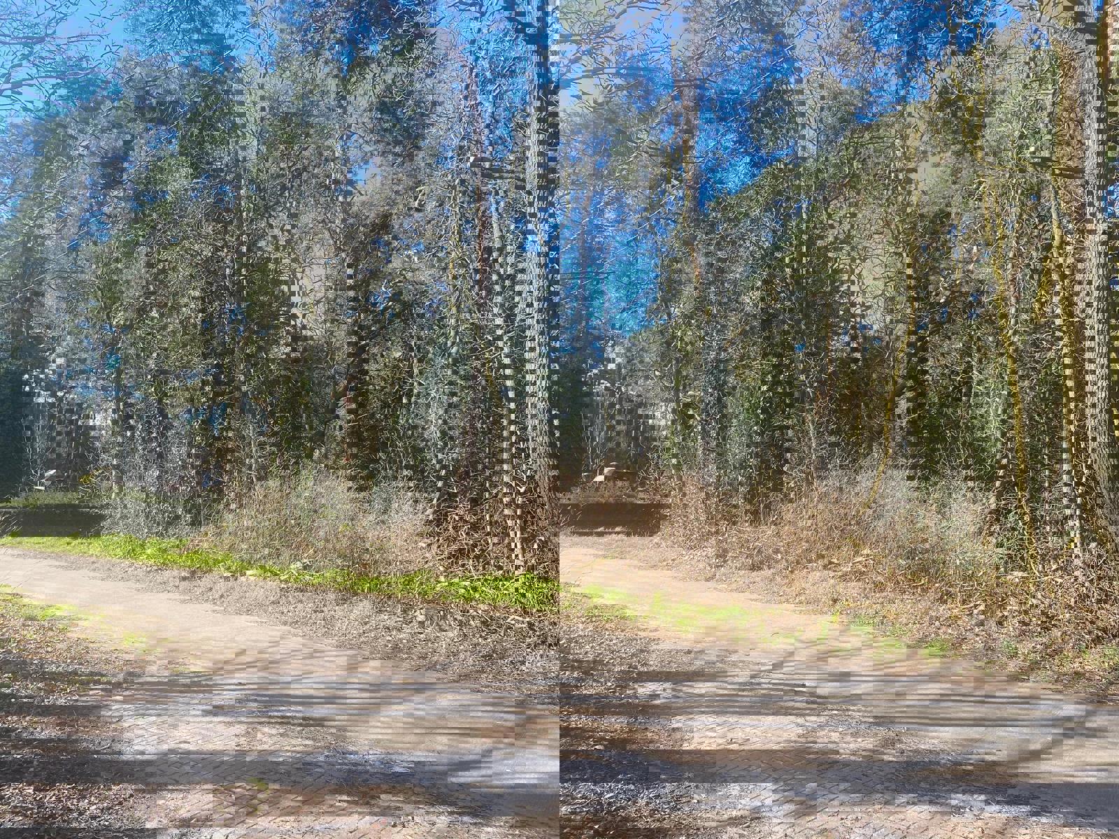 Grond te koop Windmolenweg zn - 2490 Balen