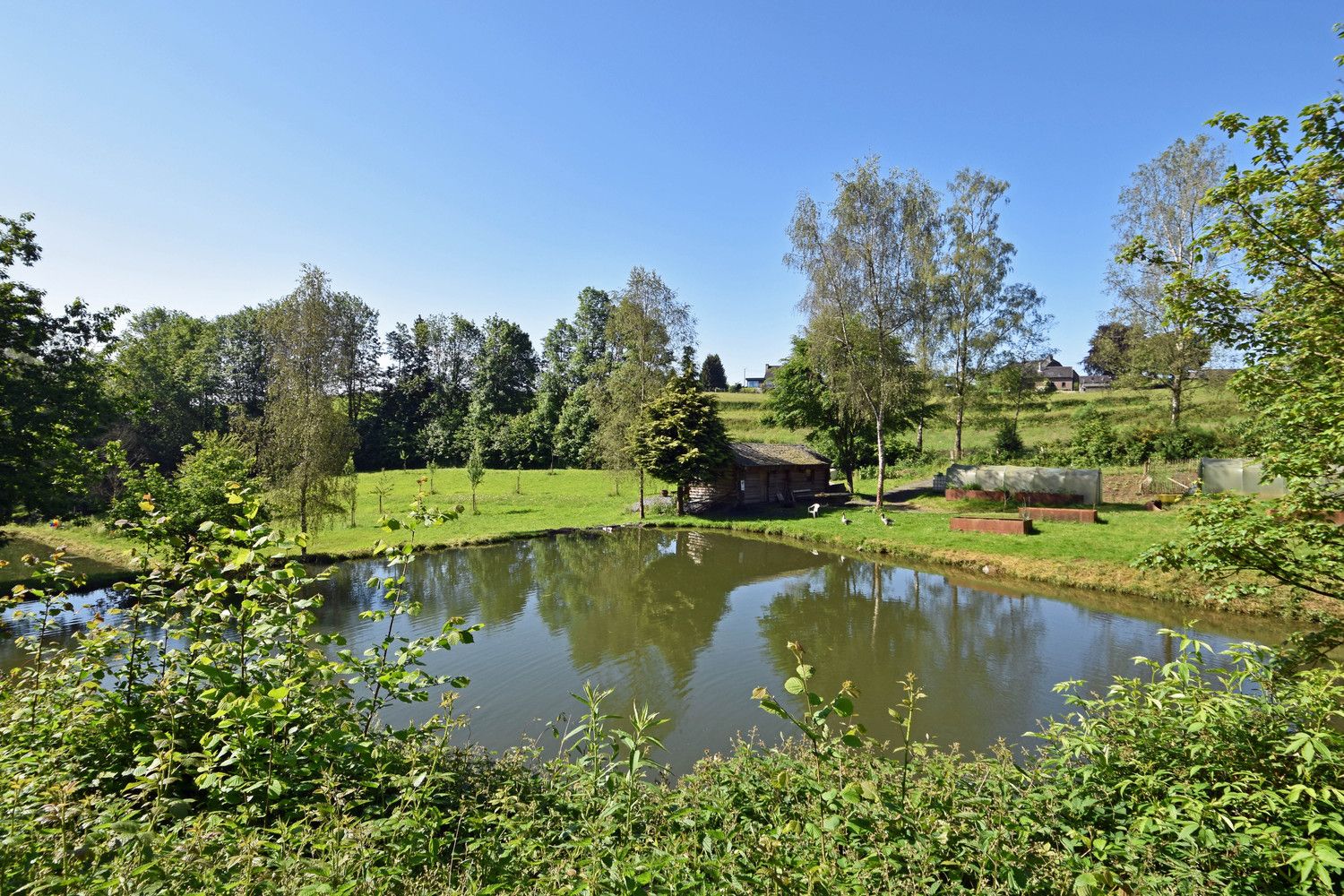 Ydillisch gelegen visvijer met 3 grote waterpartijen in de regio van Vresse-Sur-Semois! foto {{pictureIndex}}