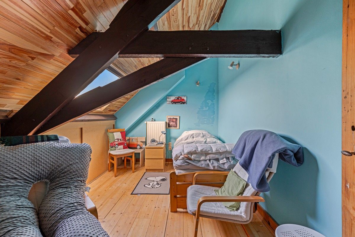 Authentieke burgerwoning aan het Rommelwaterpark met 5 slaapkamers, centrum Gent. foto 20