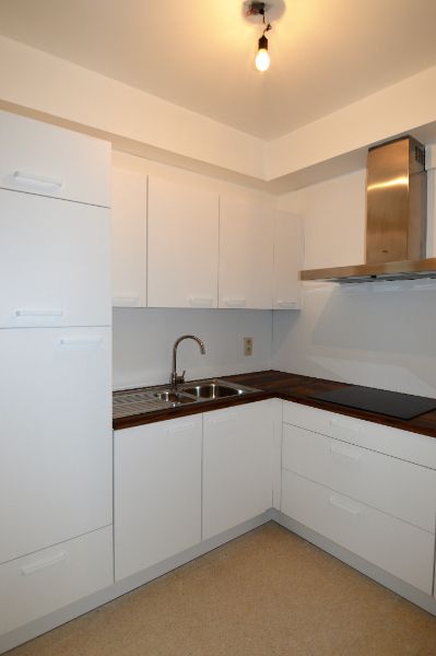Gerenoveerd appartement met zicht op de Dijle. foto 4