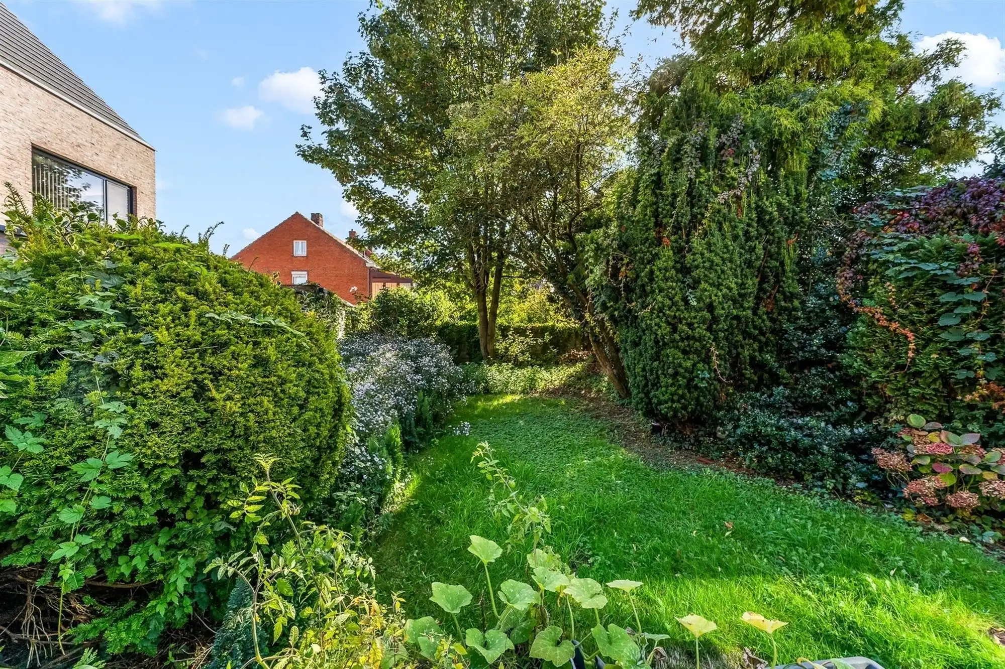 WONING OP UITZONDERLIJK PERCEEL PAL IN HET CENTRUM VAN BALEN foto 6