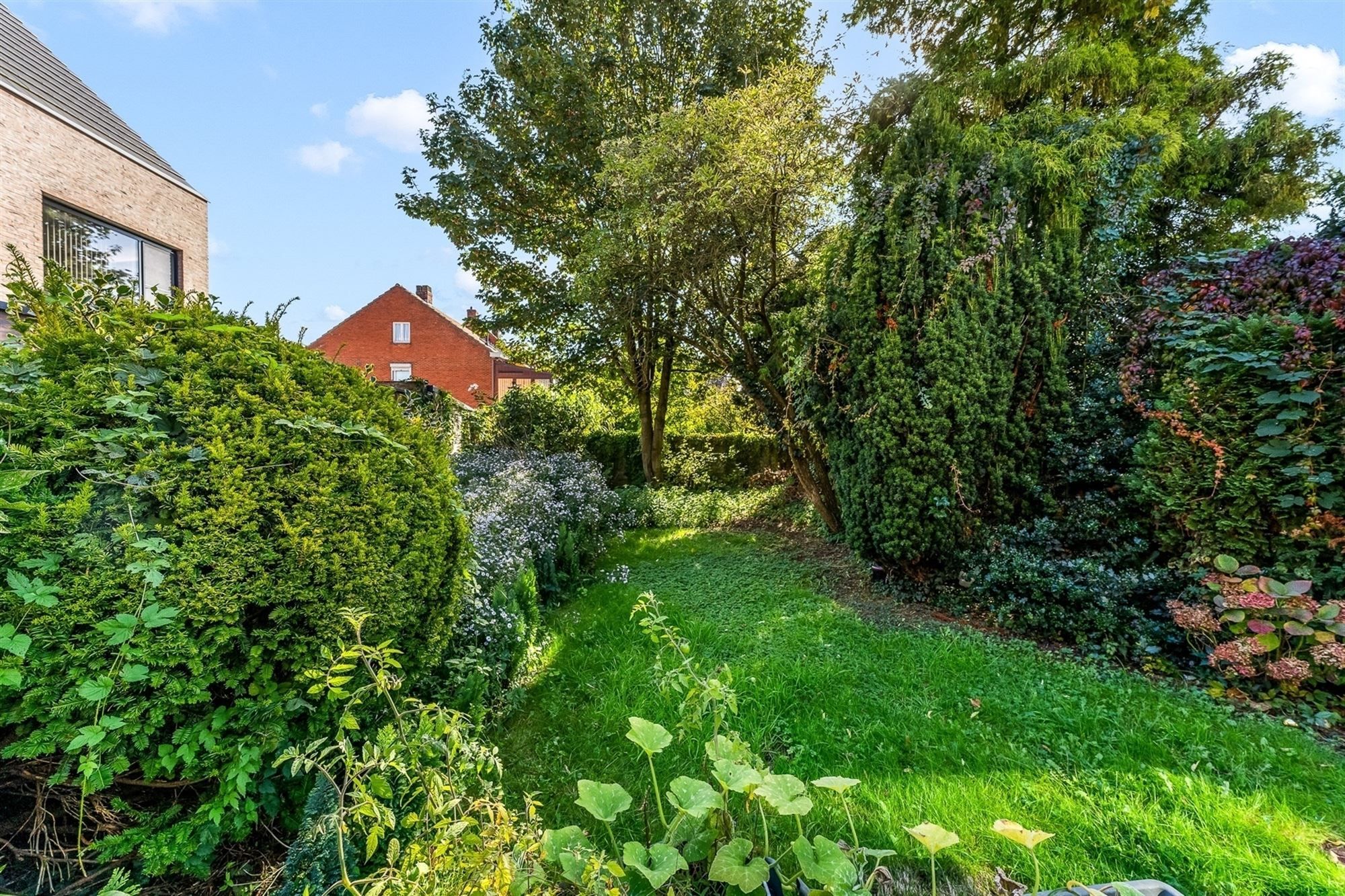 WONING OP UITZONDERLIJK PERCEEL PAL IN HET CENTRUM VAN BALEN foto 6