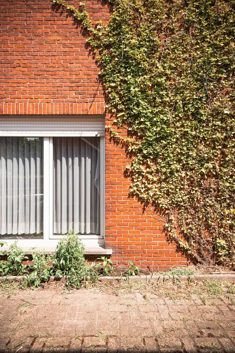 Karaktervolle woning op prachtig perceel van ruim 11501 m² foto 22