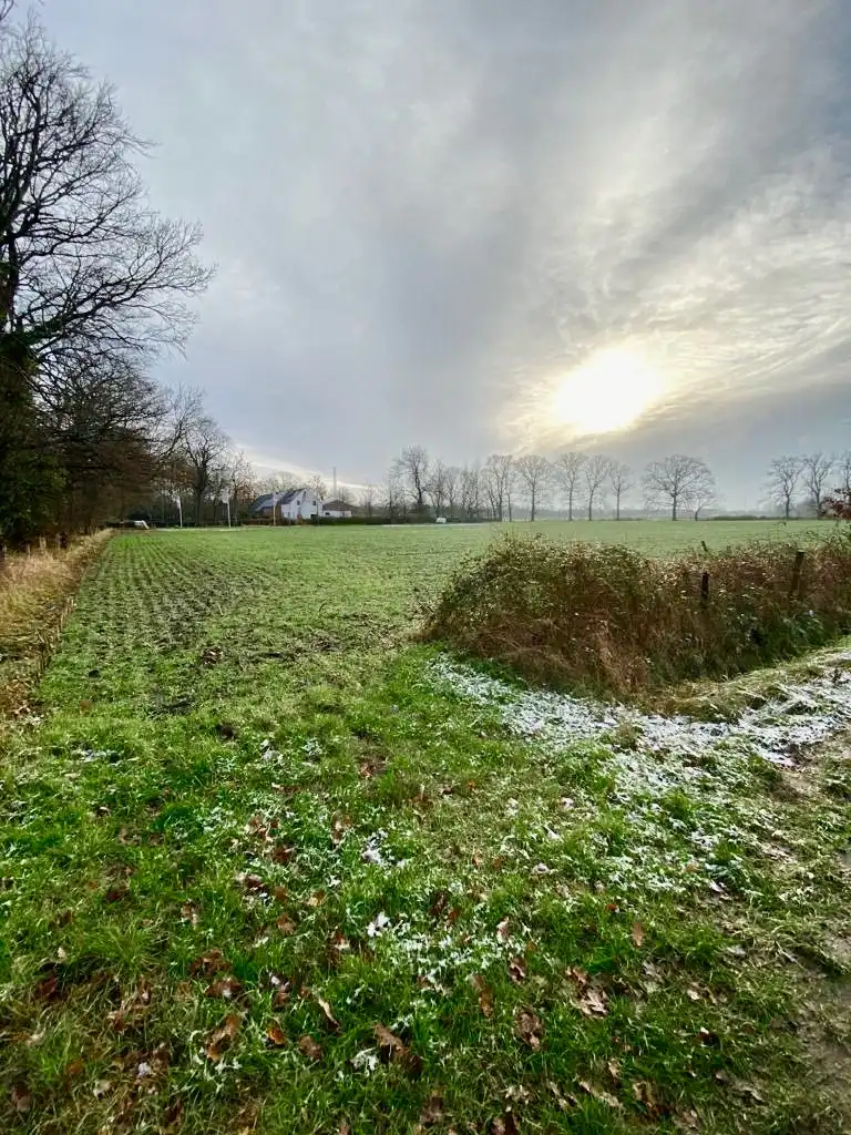 Ruim perceel grond van 15.660m² gelegen in recreatiegebied met diverse mogelijkheden foto {{pictureIndex}}