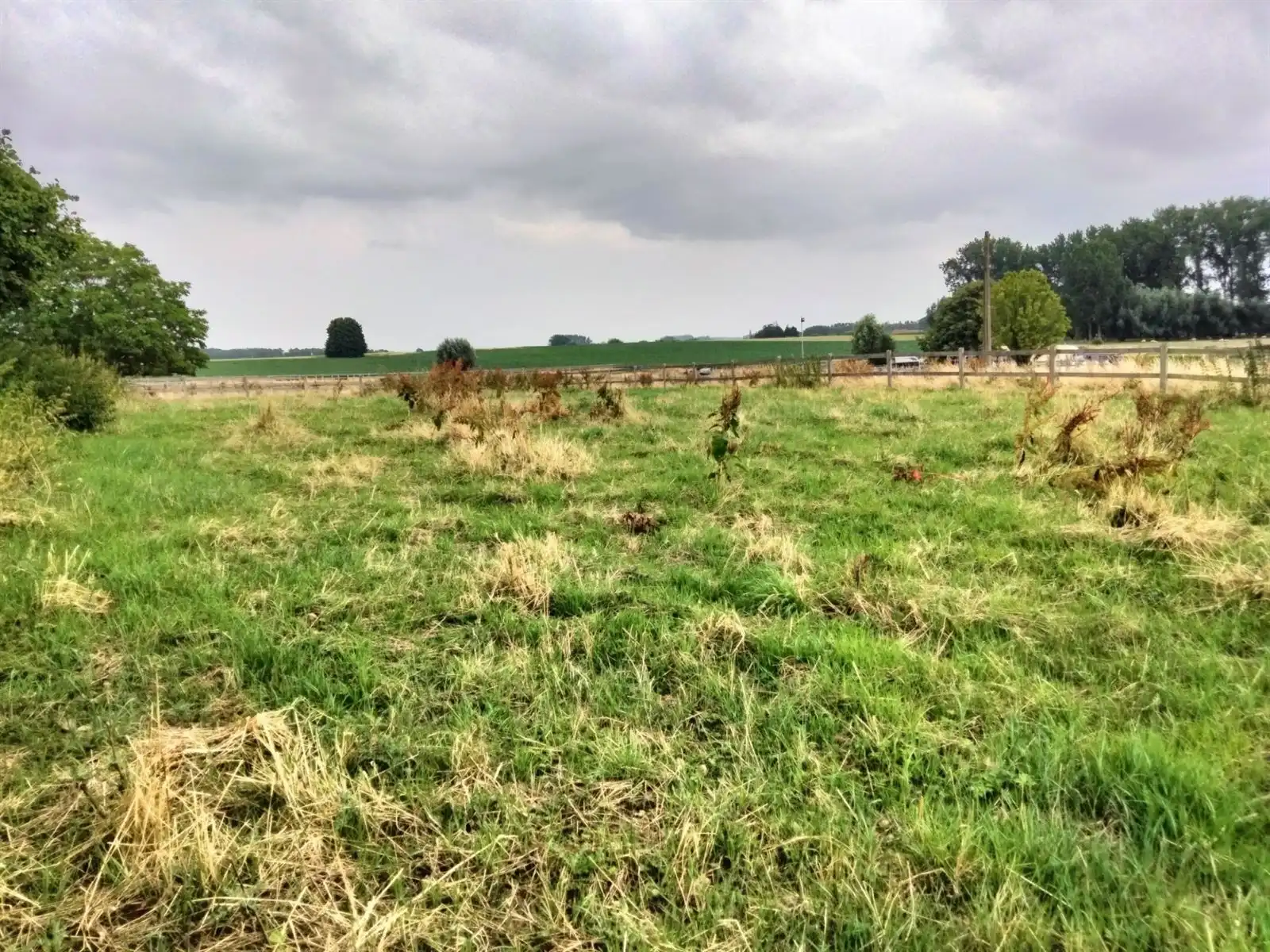 Bouwgrond open bebouwing op 15are12ca in het landelijke Tollembeek foto 4