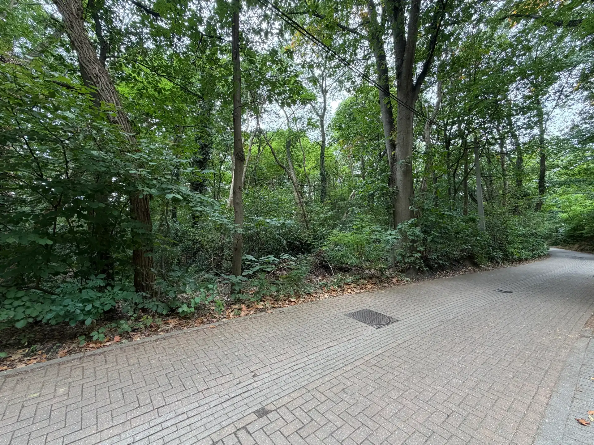 Ruime villagrond van 63a62ca te Heikant-Rotselaar foto 2