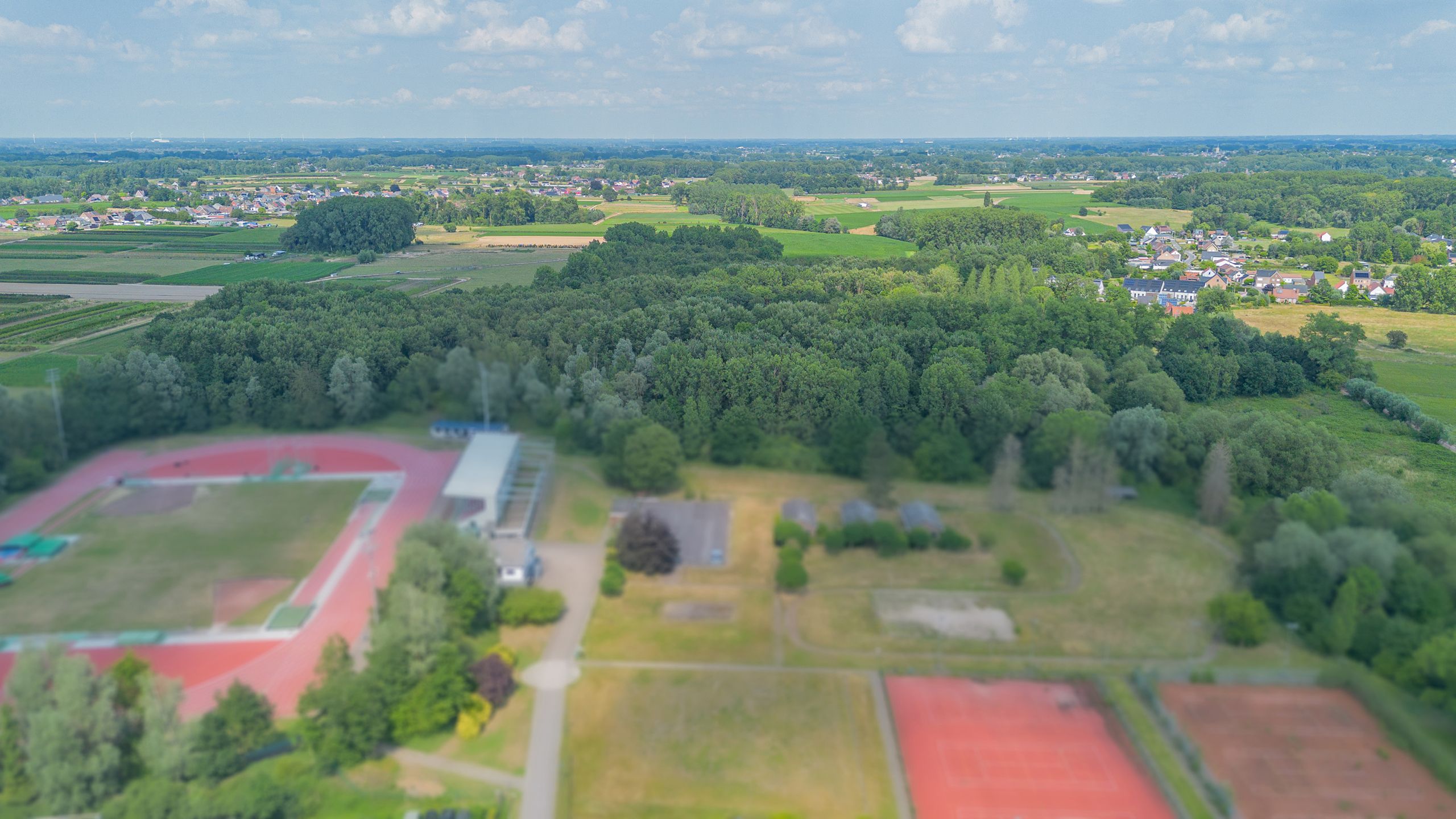 OORDEGEM - bos 2ha 21ca foto 12