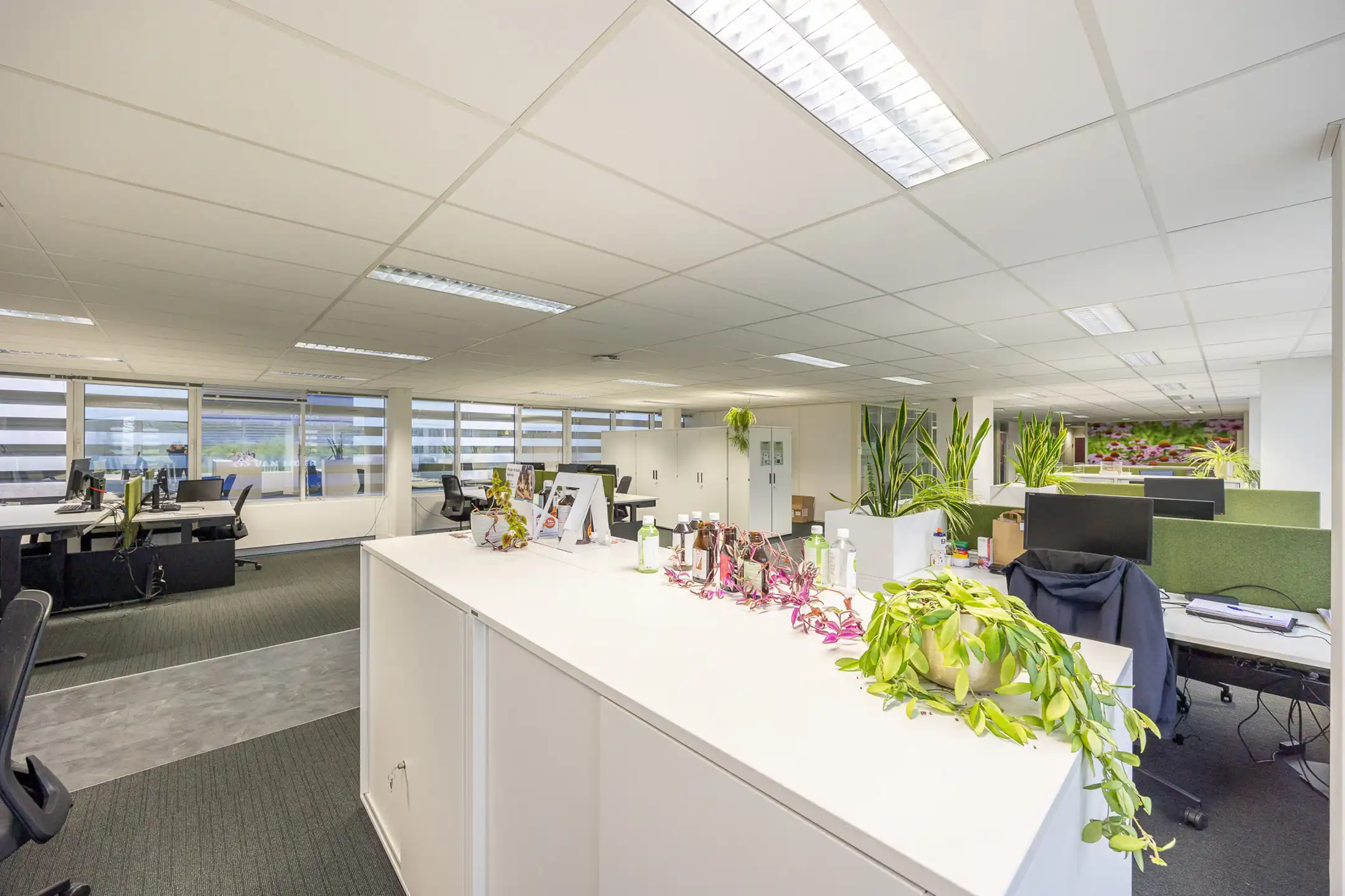 Moderne kantoorruimte in West Port Campus (475 m²) foto 26