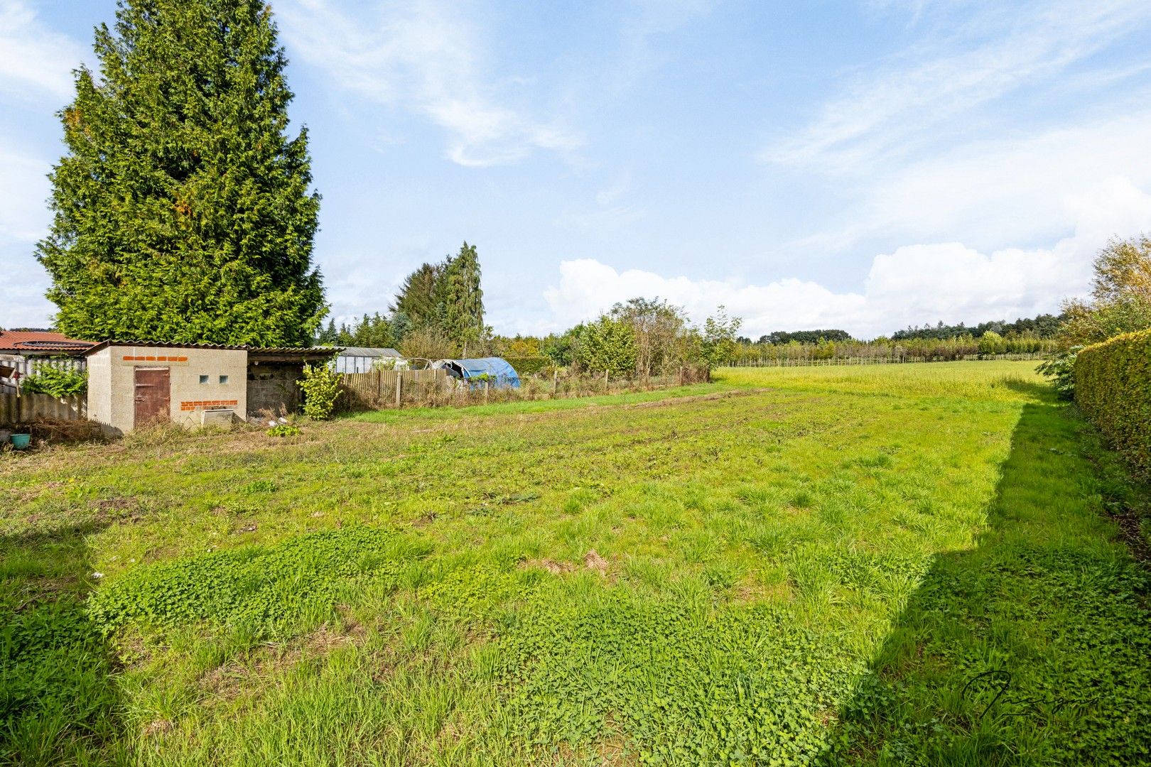 Renovatiewoning met veel potentieel en prachtige tuin foto 24