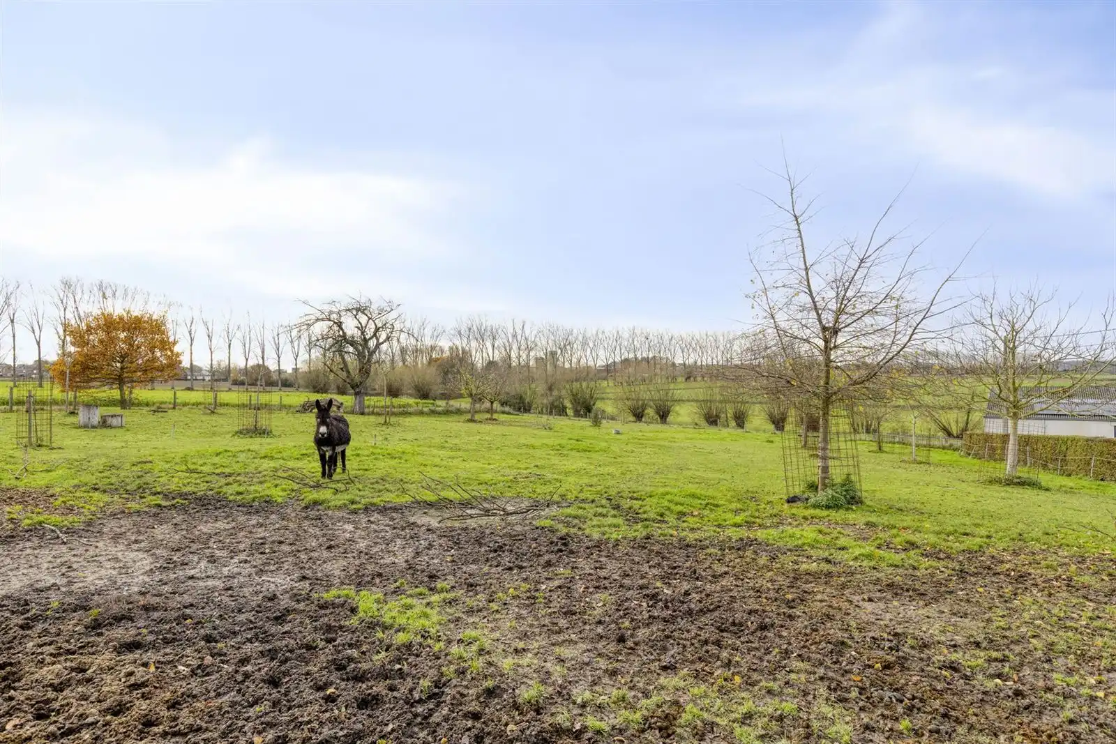 "Het Hof Farsenhove" te koop foto 36