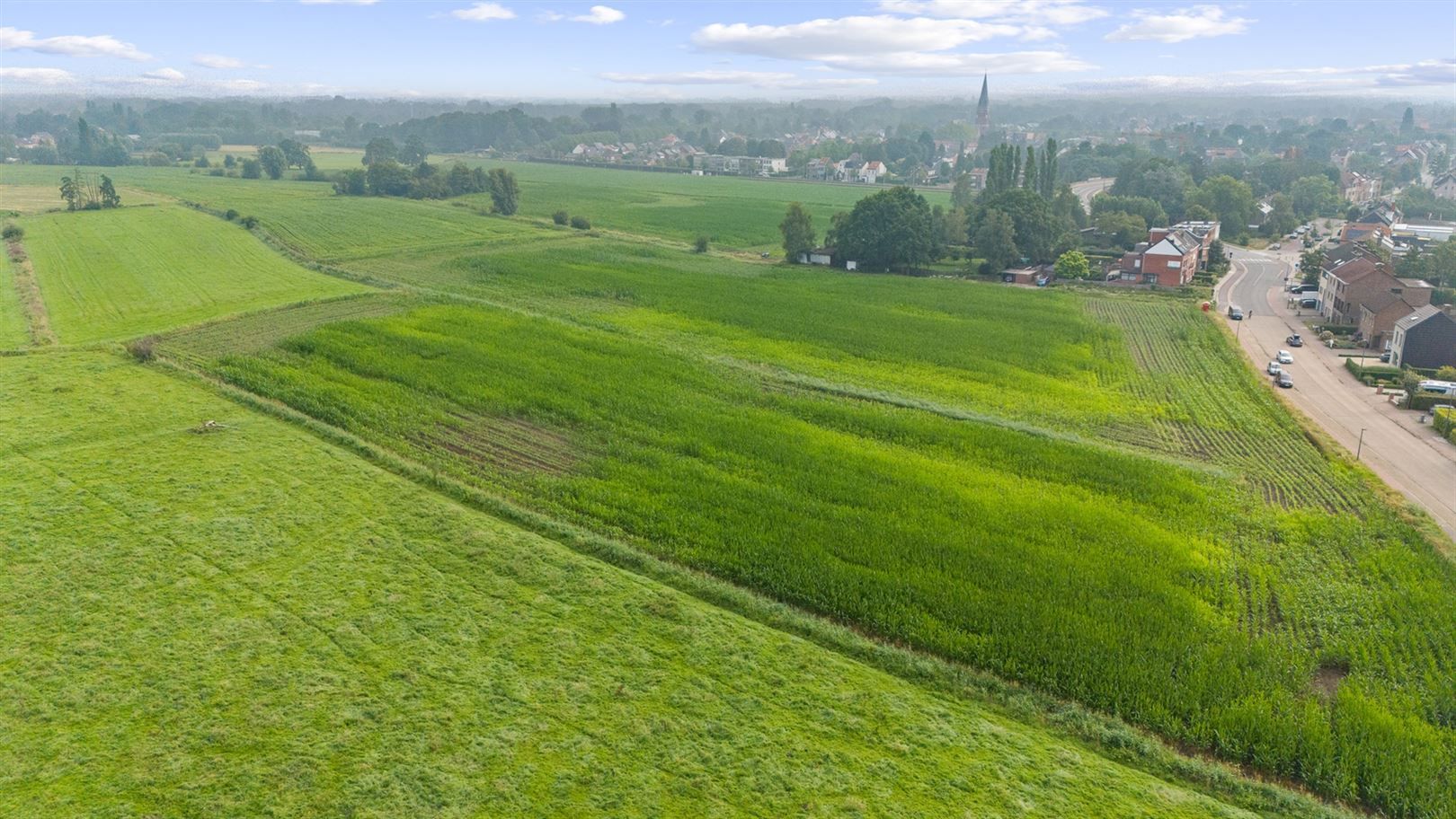 Boerderij met iets meer dan 38ha grond foto 7