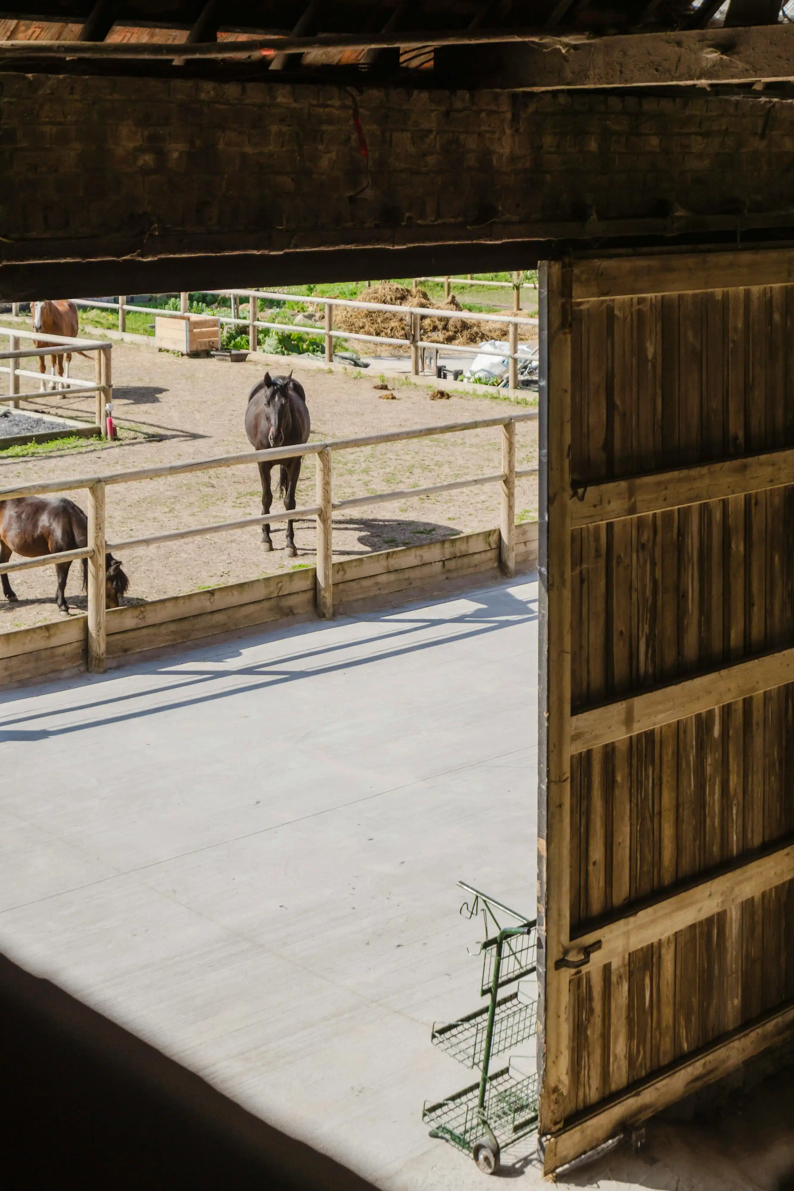 Karaktervolle hoeve met open zicht op de Kemmelberg en tal van mogelijkheden op 7.425 m² foto 9