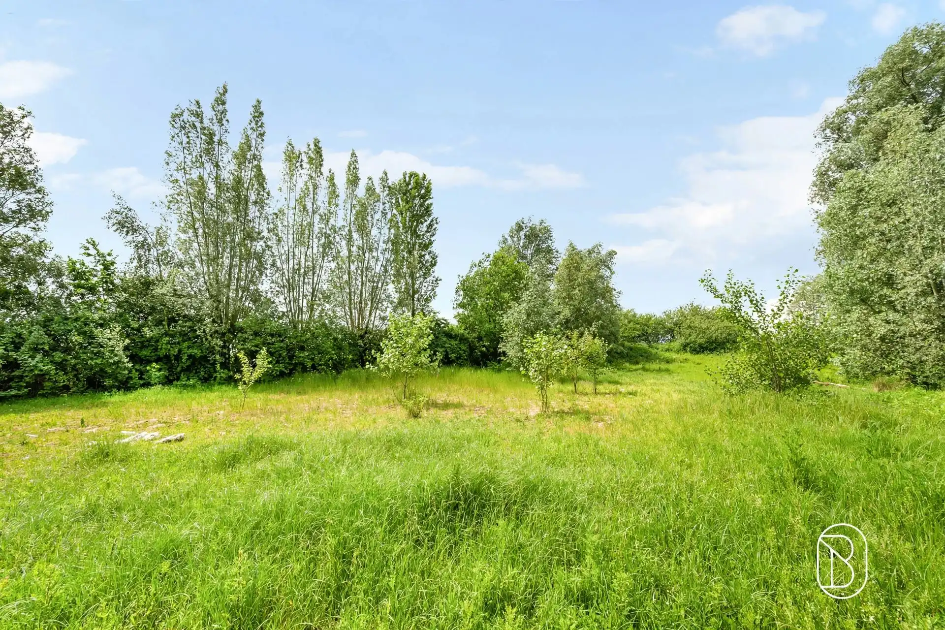 Prachtige vierkantshoeve met uitbatingspotentieel! foto 21