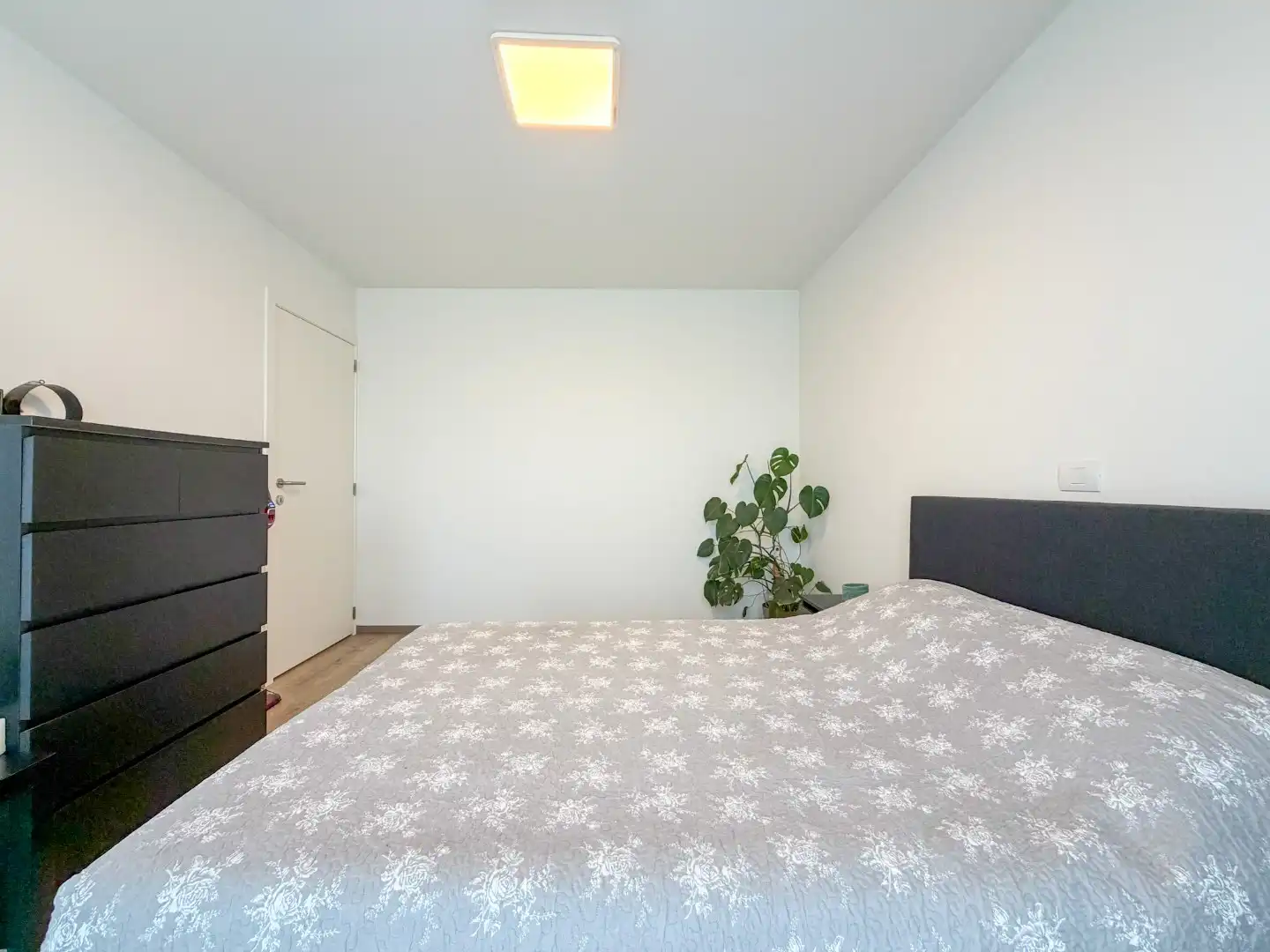 Instapklare rijwoning met 3 slpk, garage en tuin, Roeselare foto 18