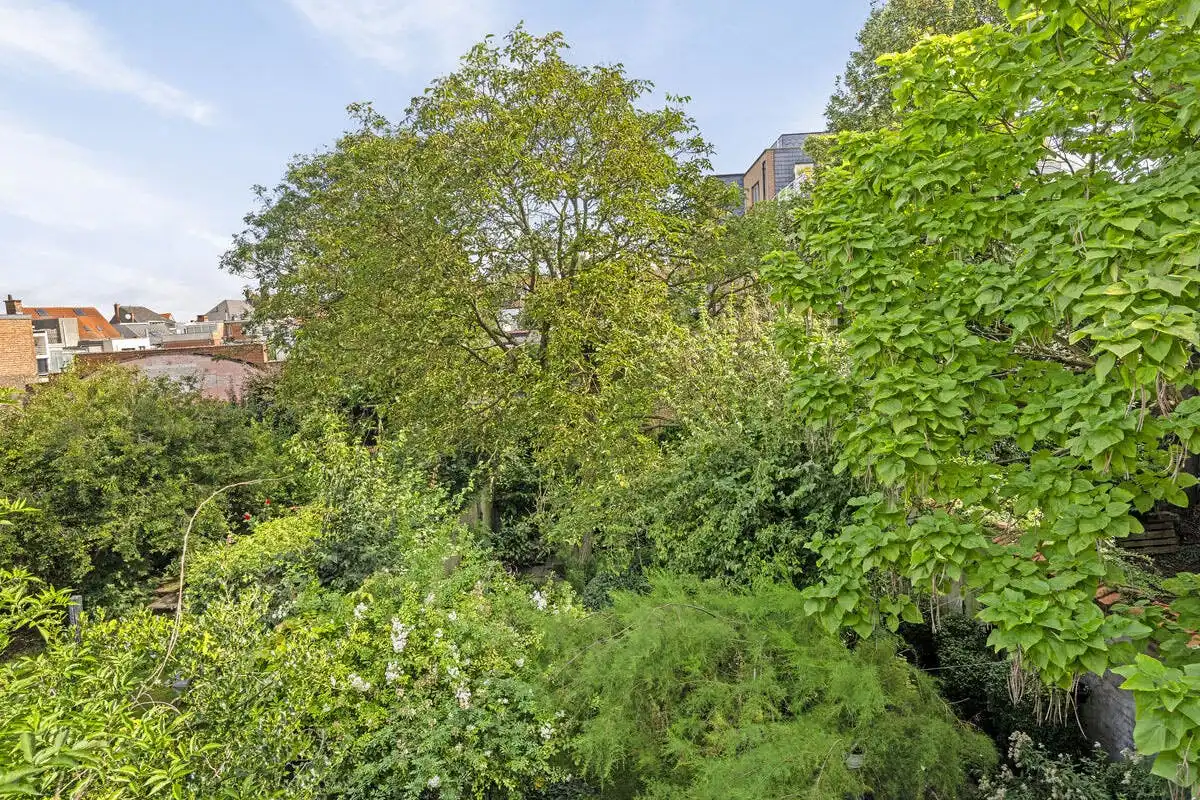 Charmant en ruim huis met 2 garageboxen in hartje Vilvoorde foto 12