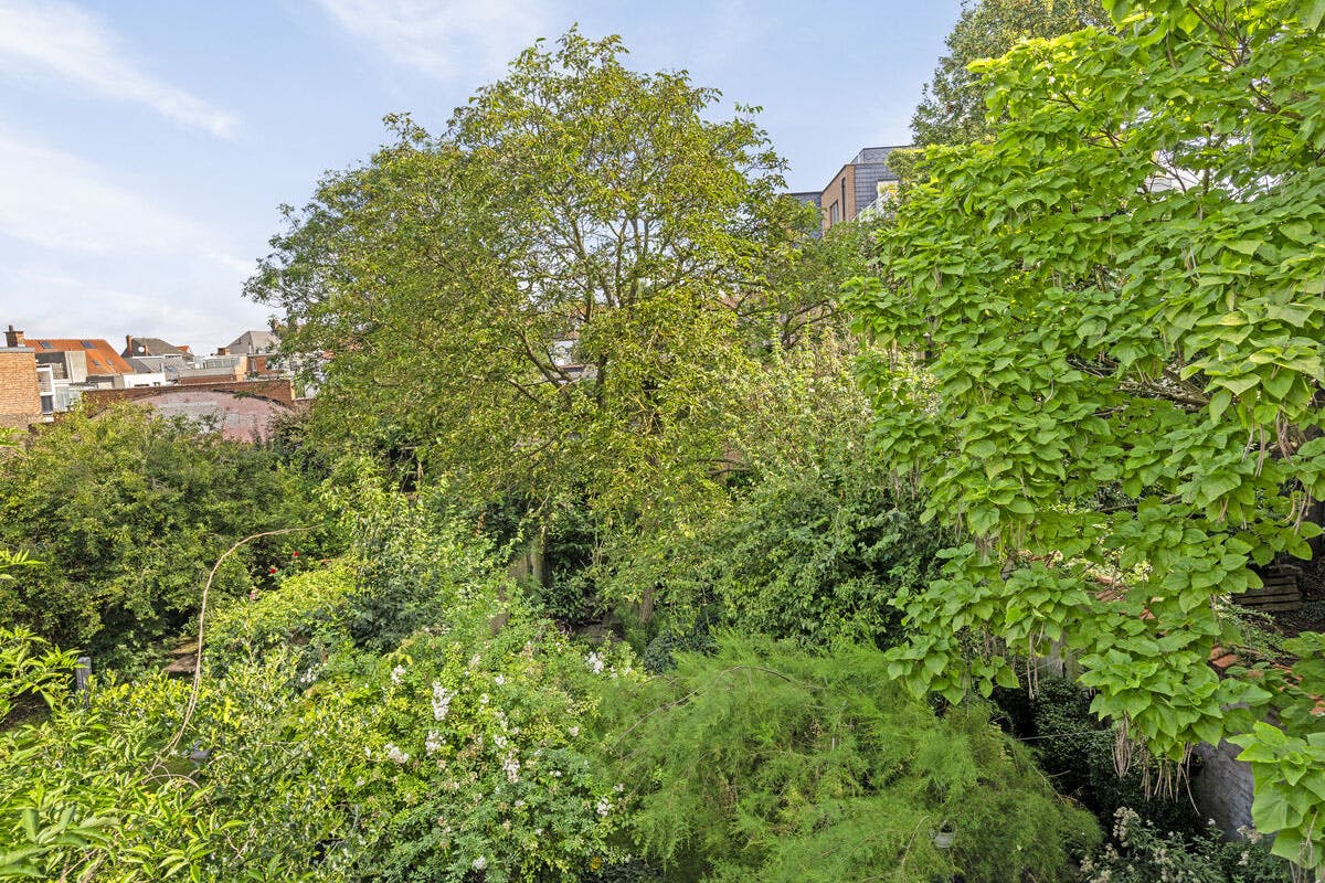 Charmant en ruim huis met 2 garageboxen in hartje Vilvoorde foto 11