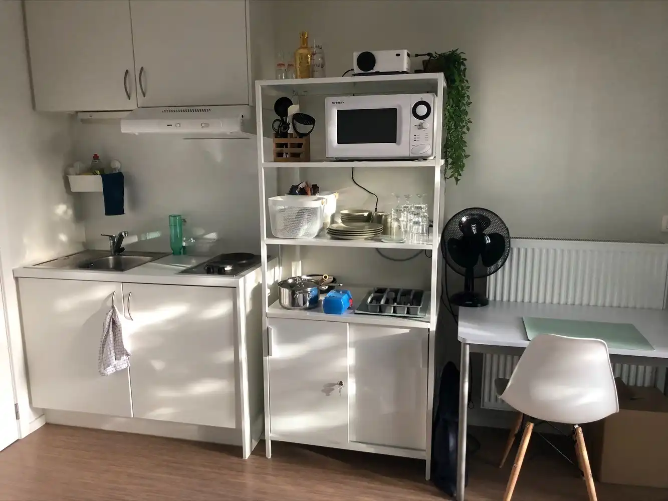 Kot/kamer te koop Wittemolenstraat 29 -/A 116 - 8200 Brugge