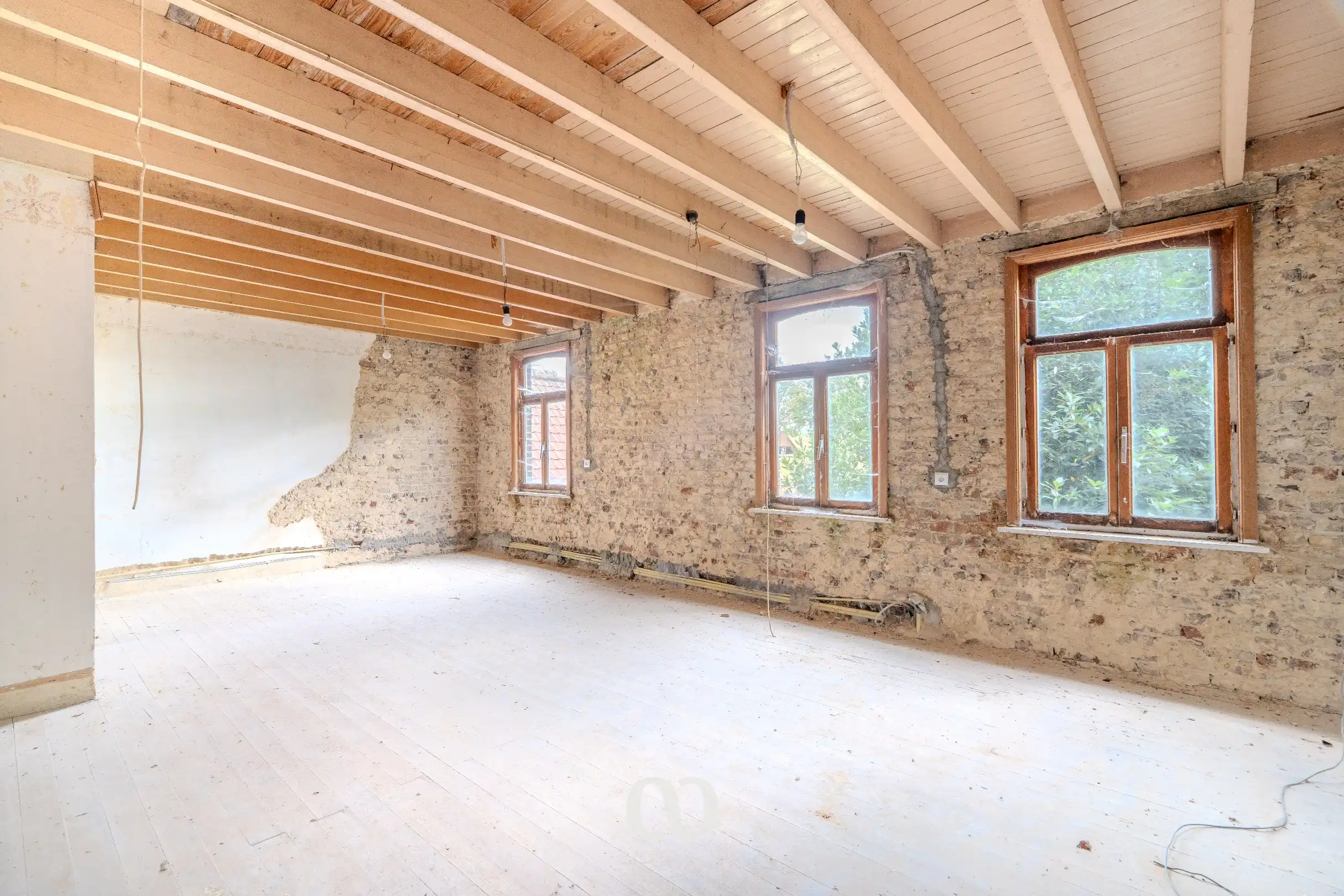 Pastorijwoning met tal van bijgebouwen foto 6