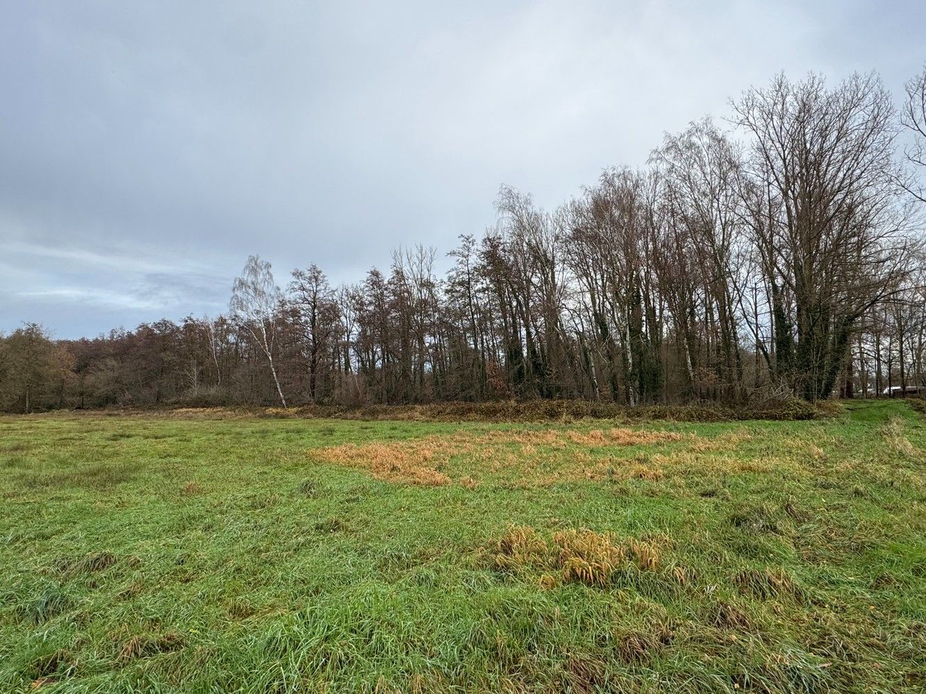 Bosgronden te Lummen foto 7