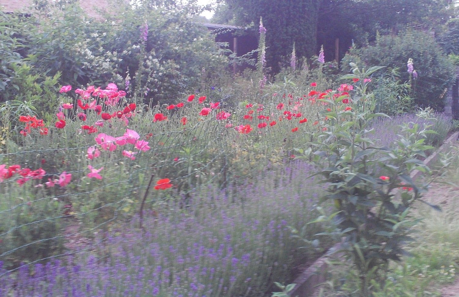 Vernieuwde woning, zeer rustig gelegen met enorm grote zolderruimte. Veel potentieel! foto 17