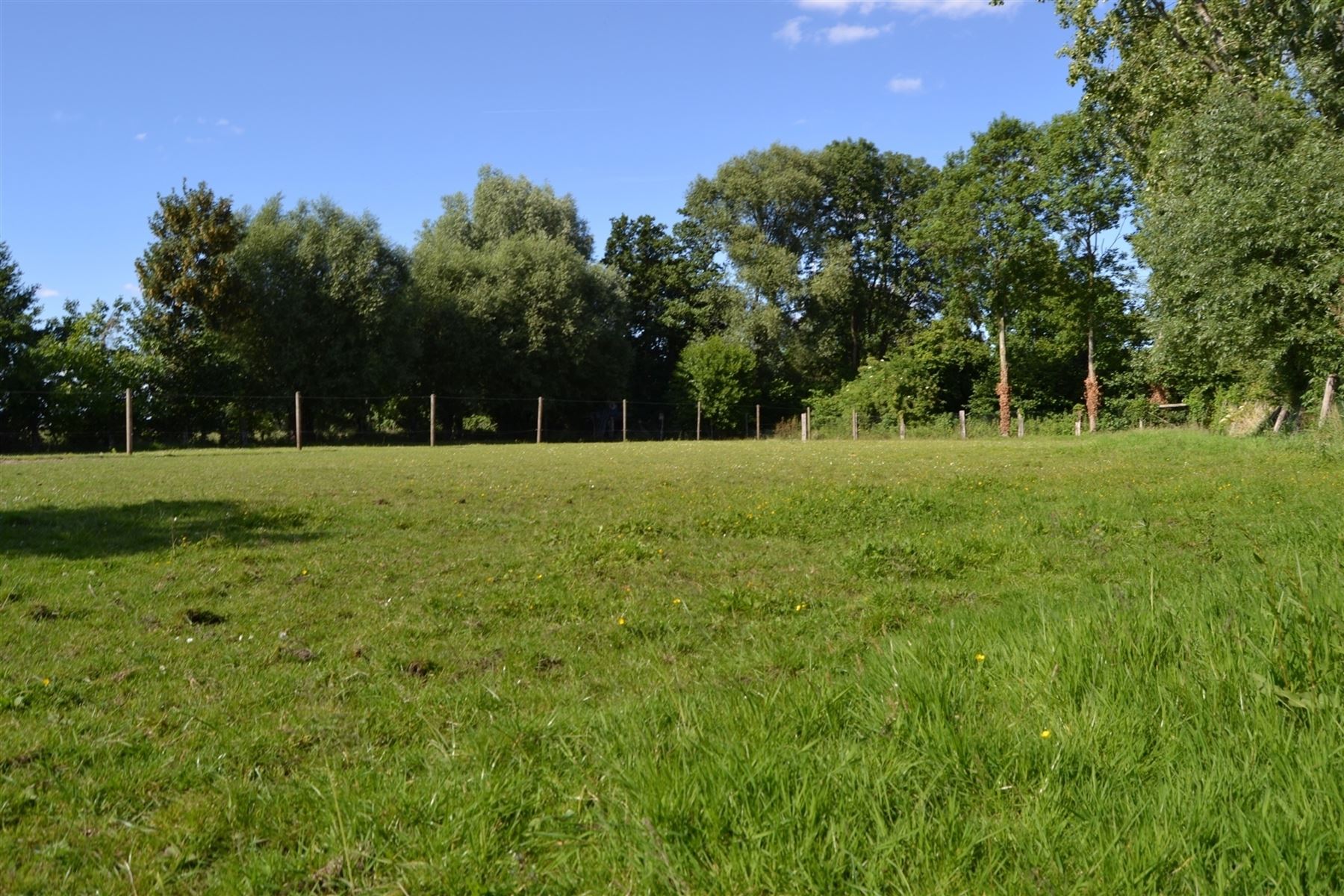 Stalling met 4 boxen, piste en weides samen 5000 m² foto 2