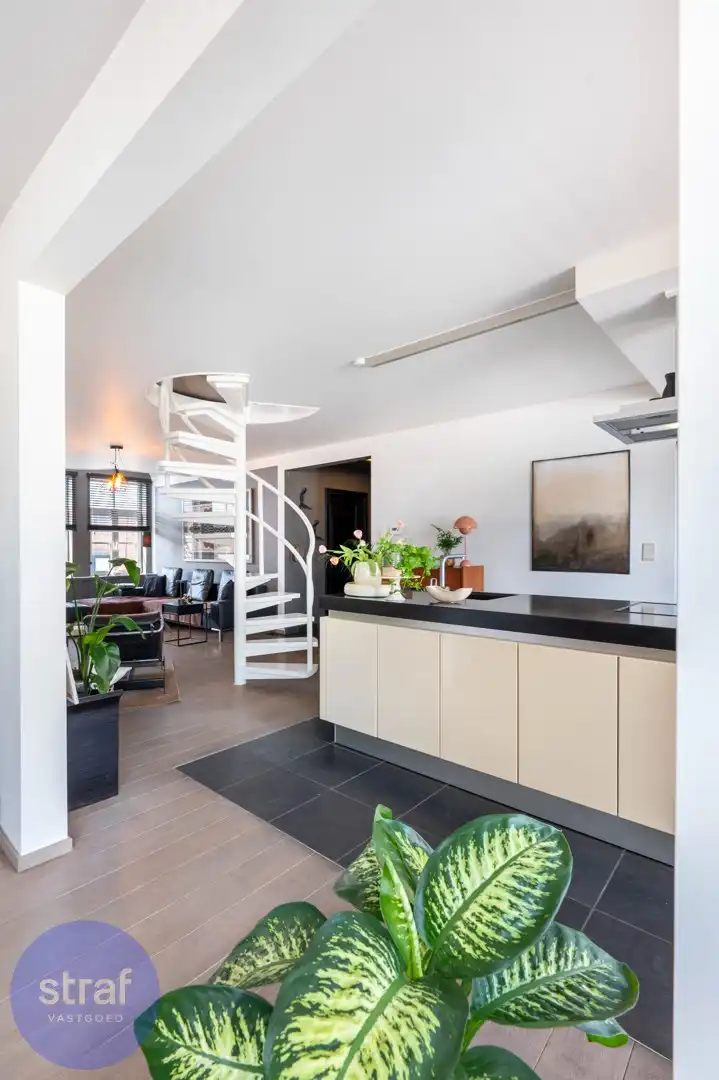 Magnifieke penthouse in hartje Antwerpen foto 9