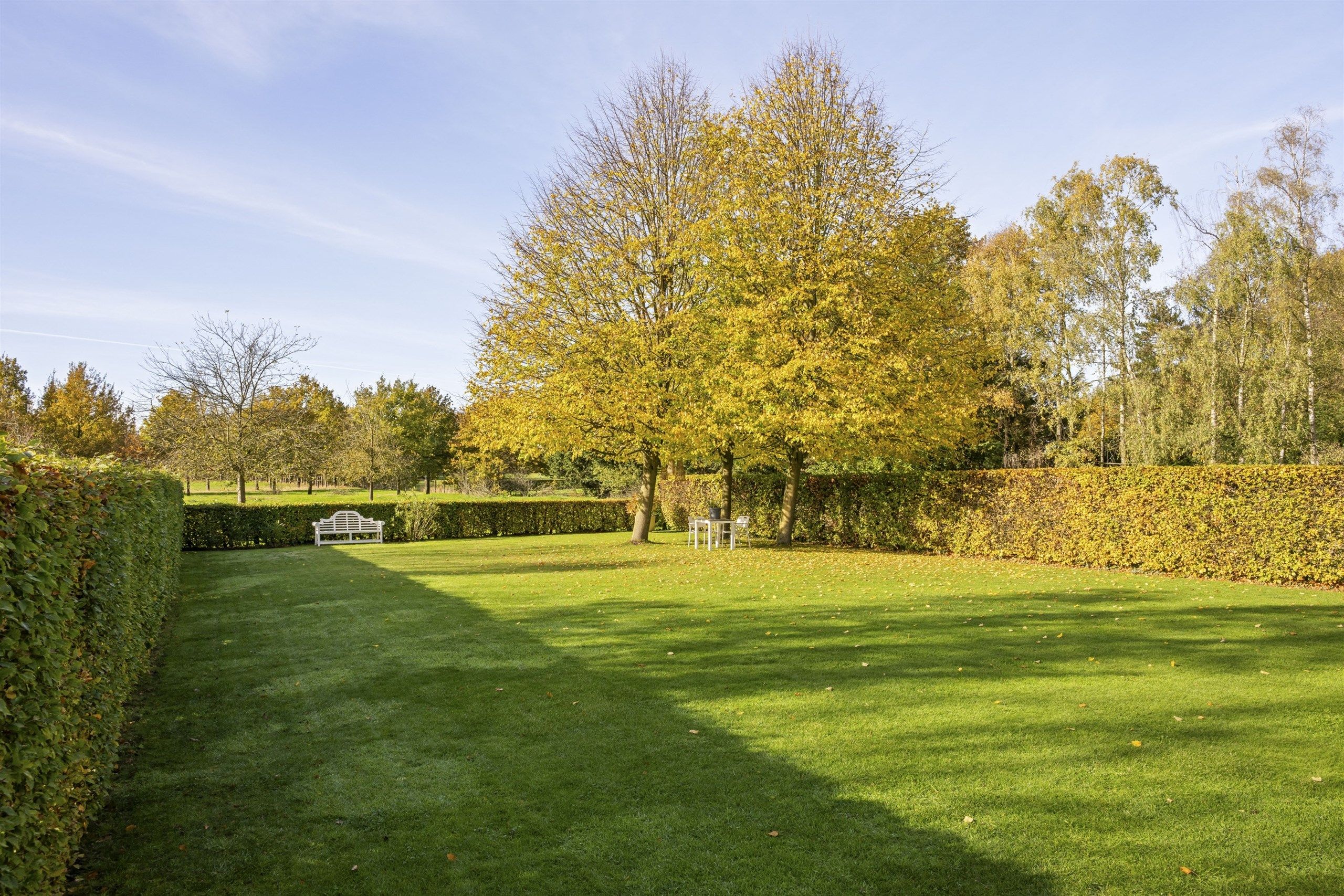 Ontdek deze gezellige eigendom op 1097 m² - 4 slaapkamers +bureel foto 6