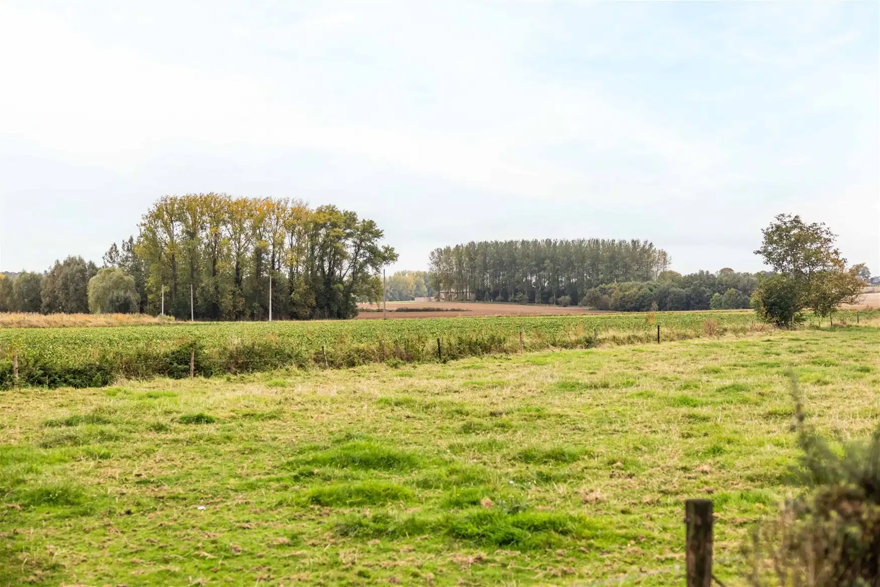 Uniek eigendom te koop: de Zwadderkotmolen. foto 32