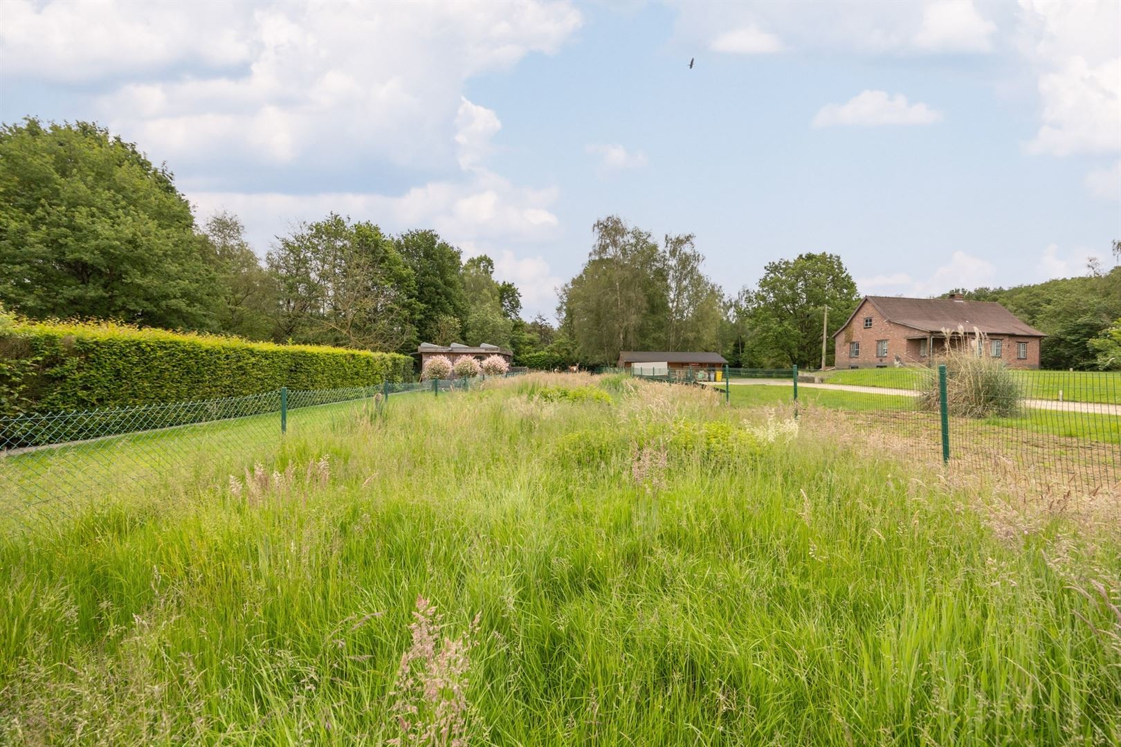 Charmante renovatie-woning met potentieel foto 20