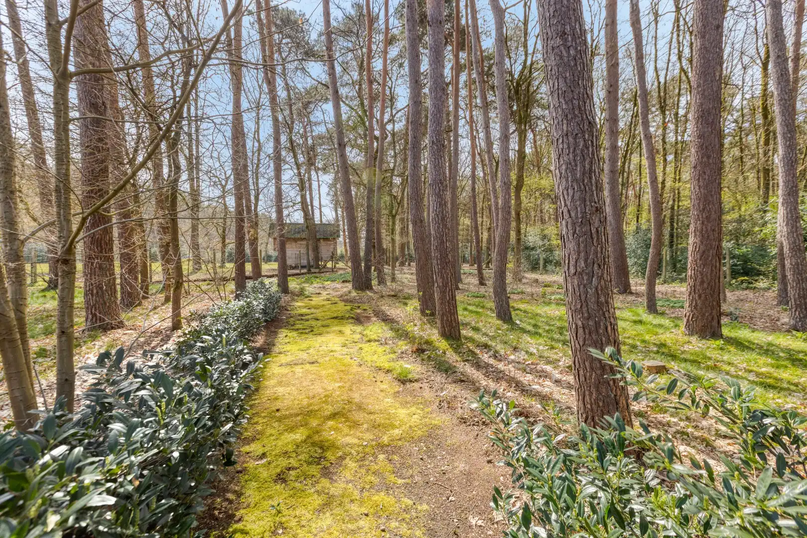 Schepersweg 116, 3600 Genk foto 28