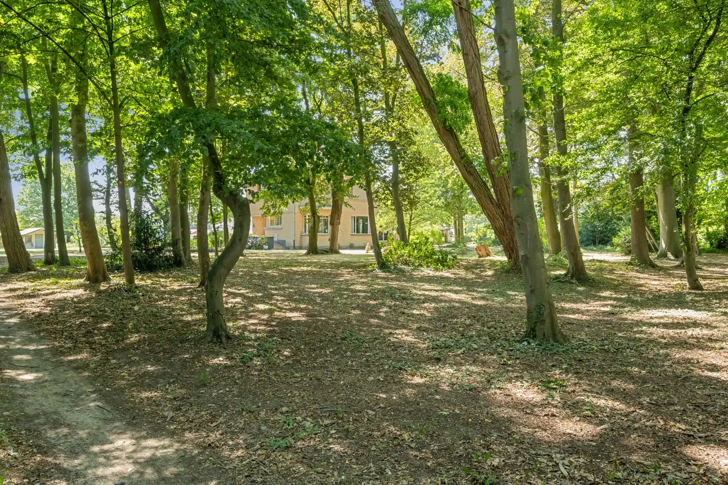 Karaktervolle villa op uitzonderlijk parkdomein van 67 are met ontwikkelingspotentieel vlakbij Gent foto 25