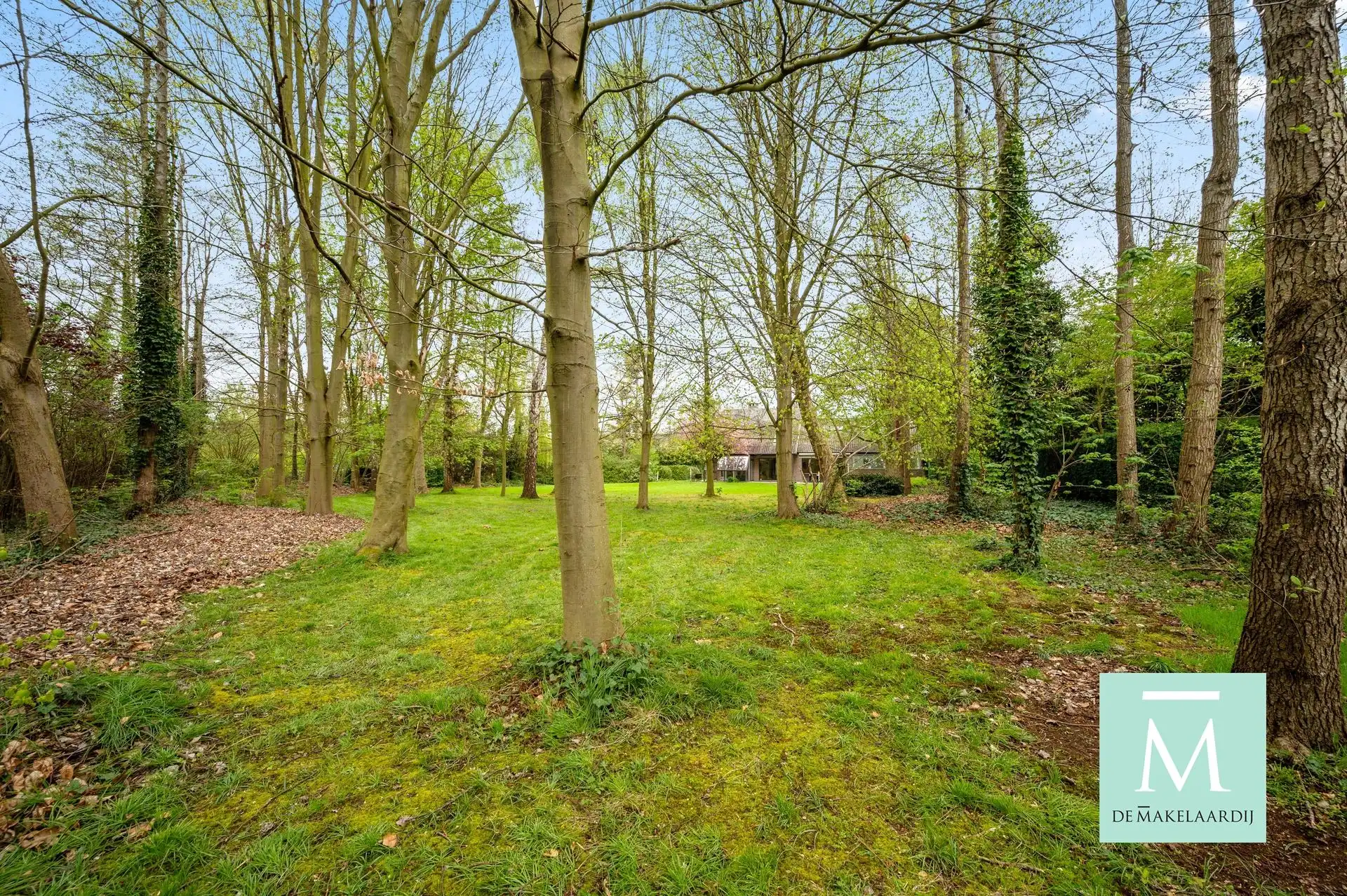 Architecturale woning op een toplocatie te Sint-Katelijne-Waver	 foto 30