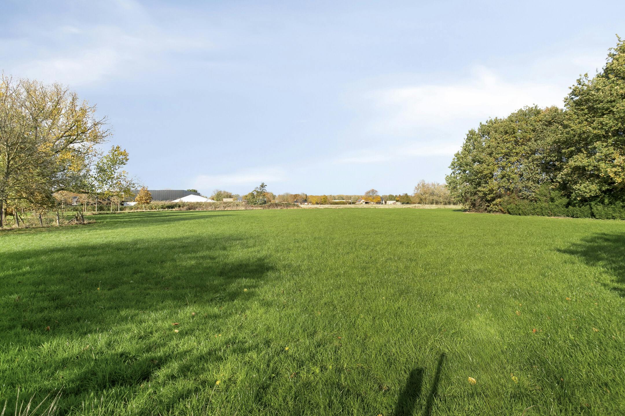Alleenstaand huis met 4 kamers te koop in Beveren- Leie foto 3