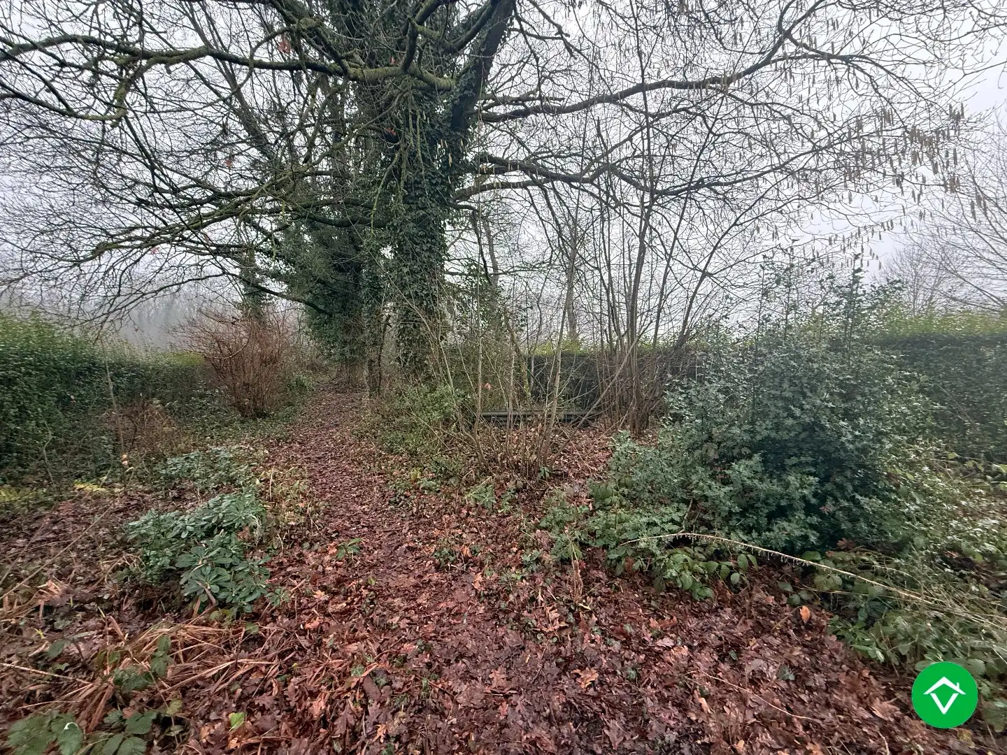 Ruime woning met 5 slaapkamers, garage en diepe tuin te Houthulst foto 18