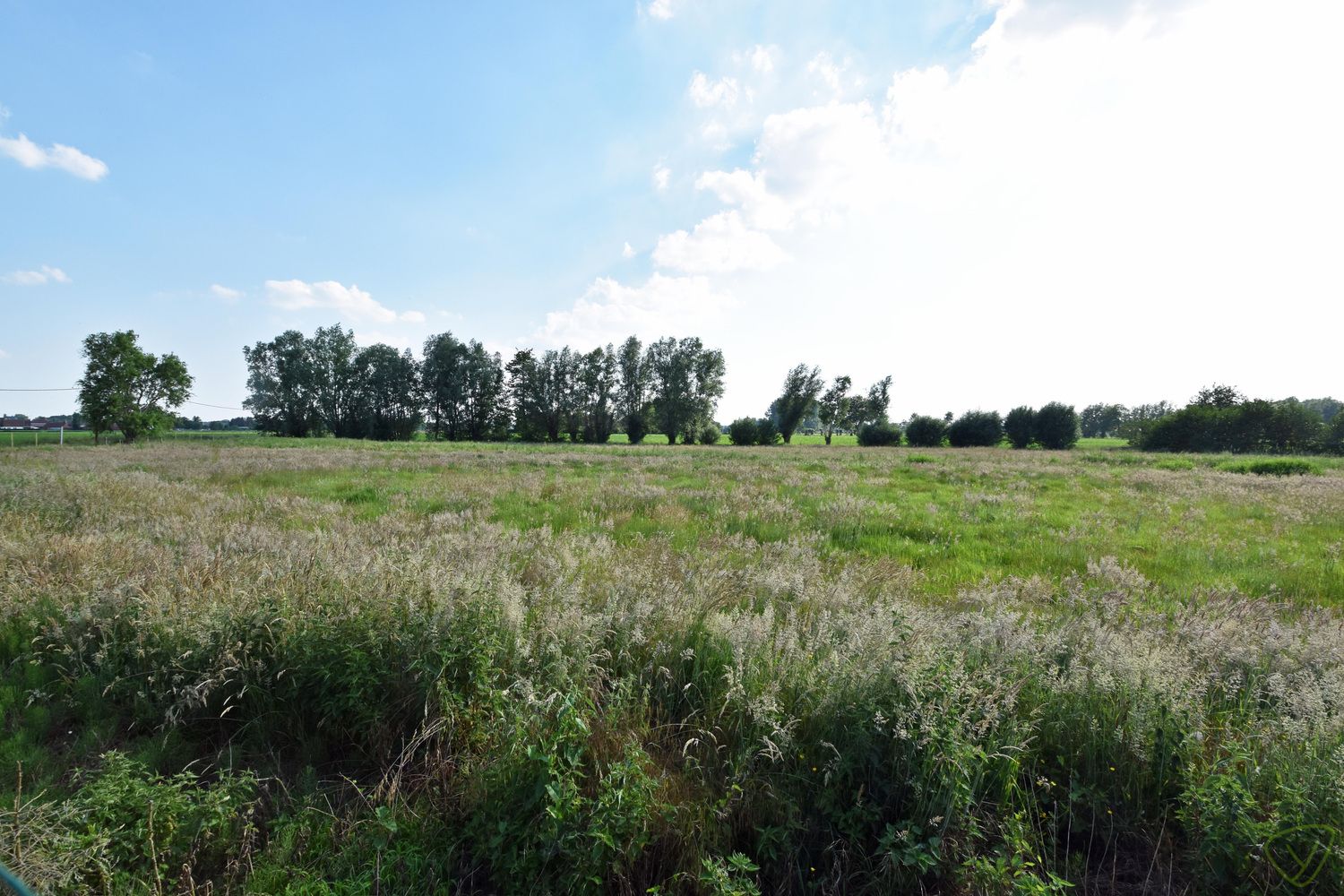 Makkelijk toegankelijk stuk landbouwgrond nabij het centrum van Knesselare foto 2