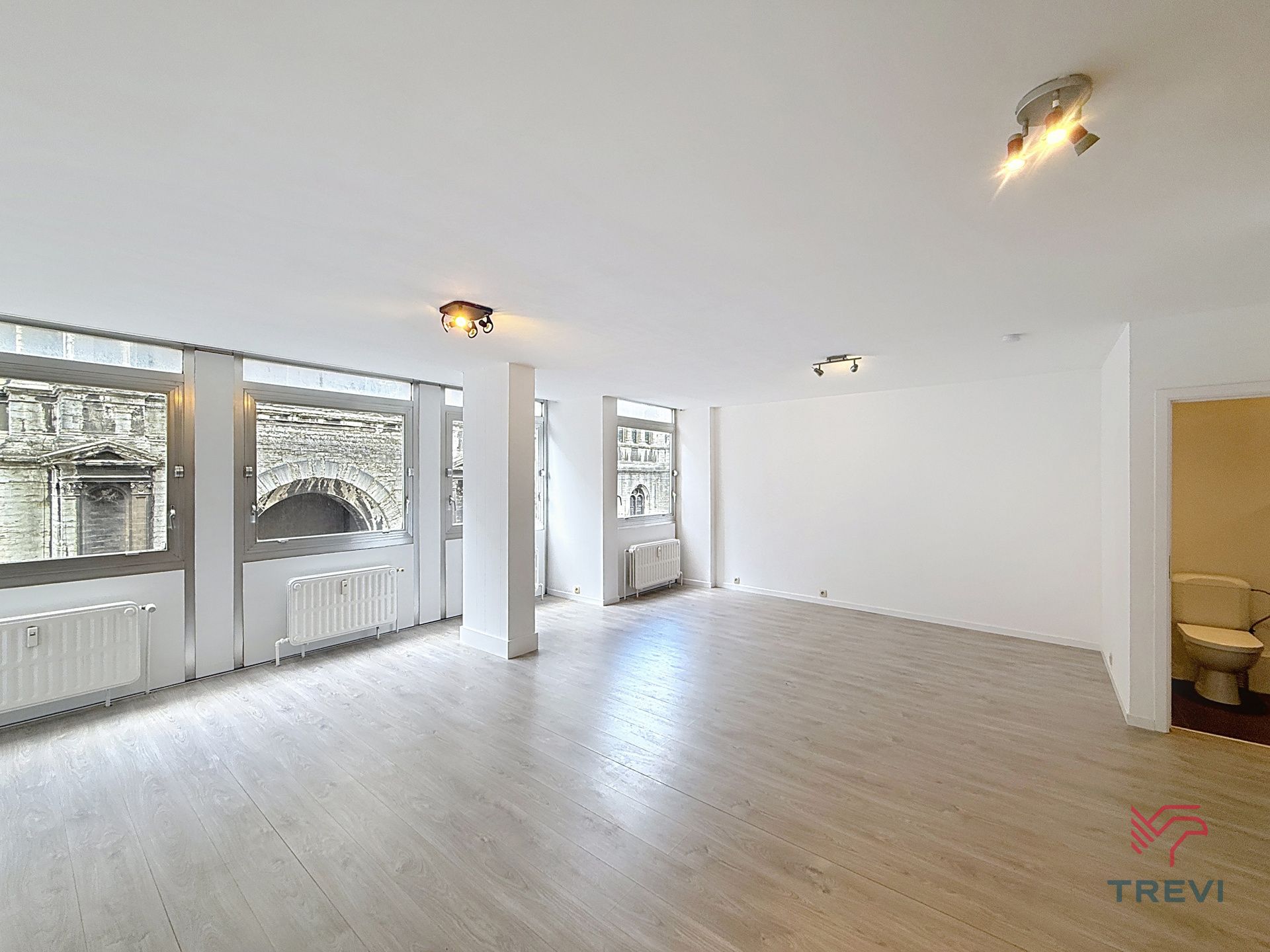 Grote gerenoveerde studio in het centrum van Brussel foto 4
