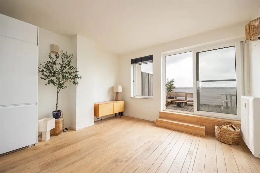 Hoofdfoto van de publicatie: Gerenoveerd penthouse met riant dakterras