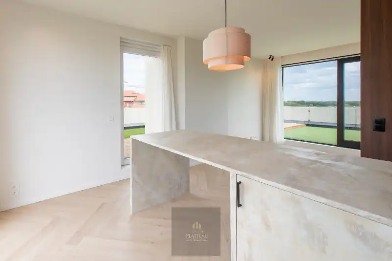 Vernieuwd dakappartement met zeer groot dakterras. foto 12