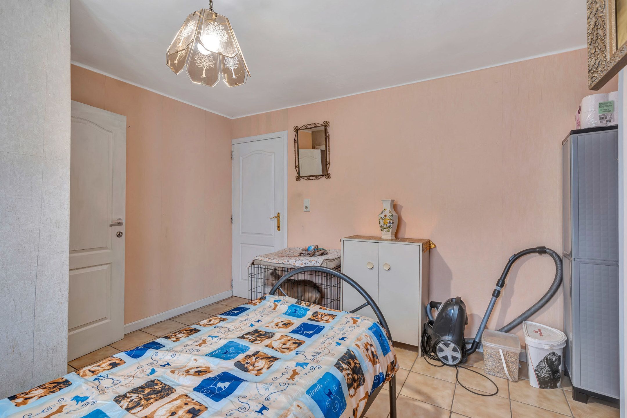 Te moderniseren gelijkvloerse woning op landelijke locatie foto 11
