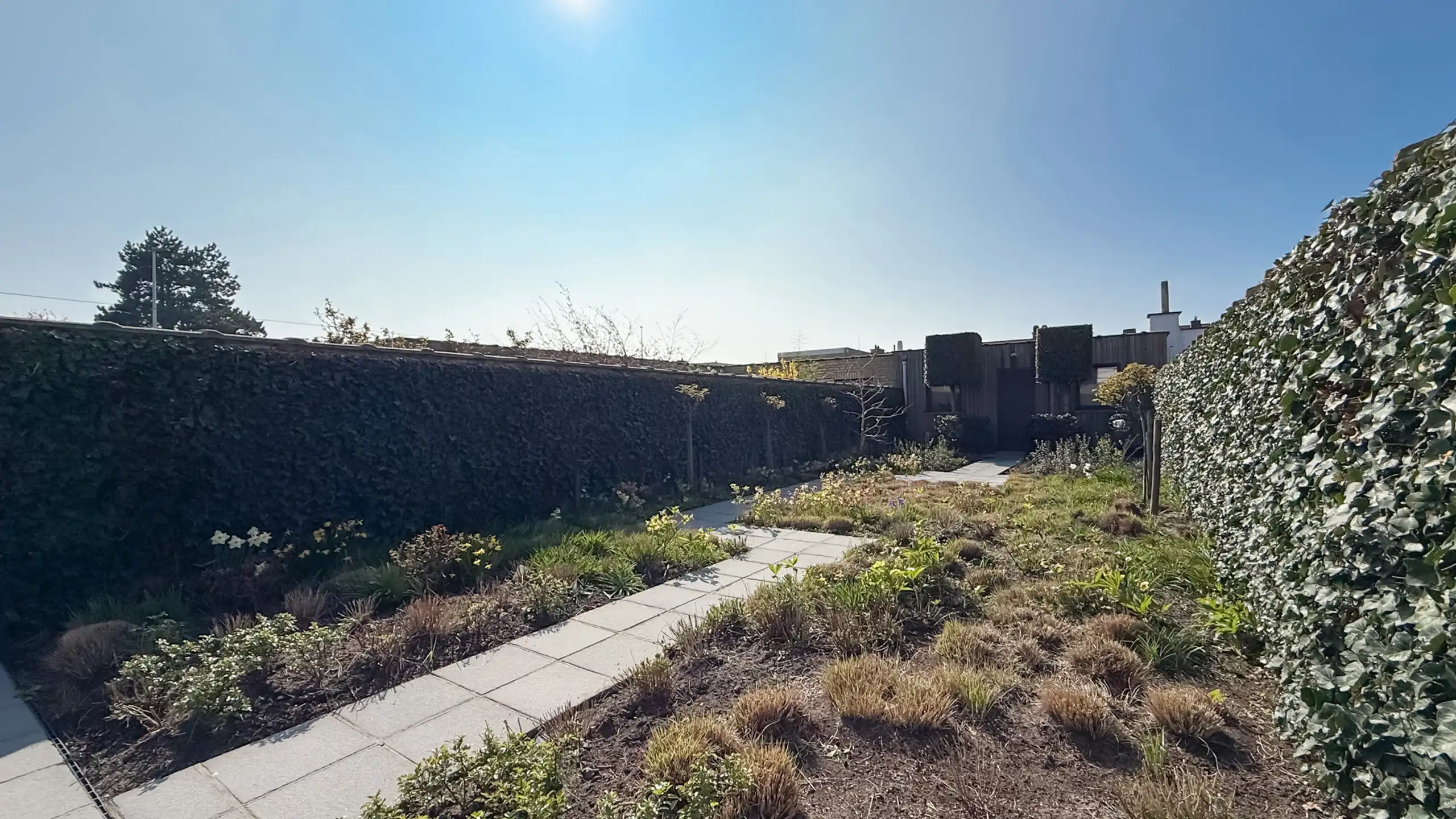 Verzorgde woning met zonnige tuin nabij de Graaf Jansdijk foto 11