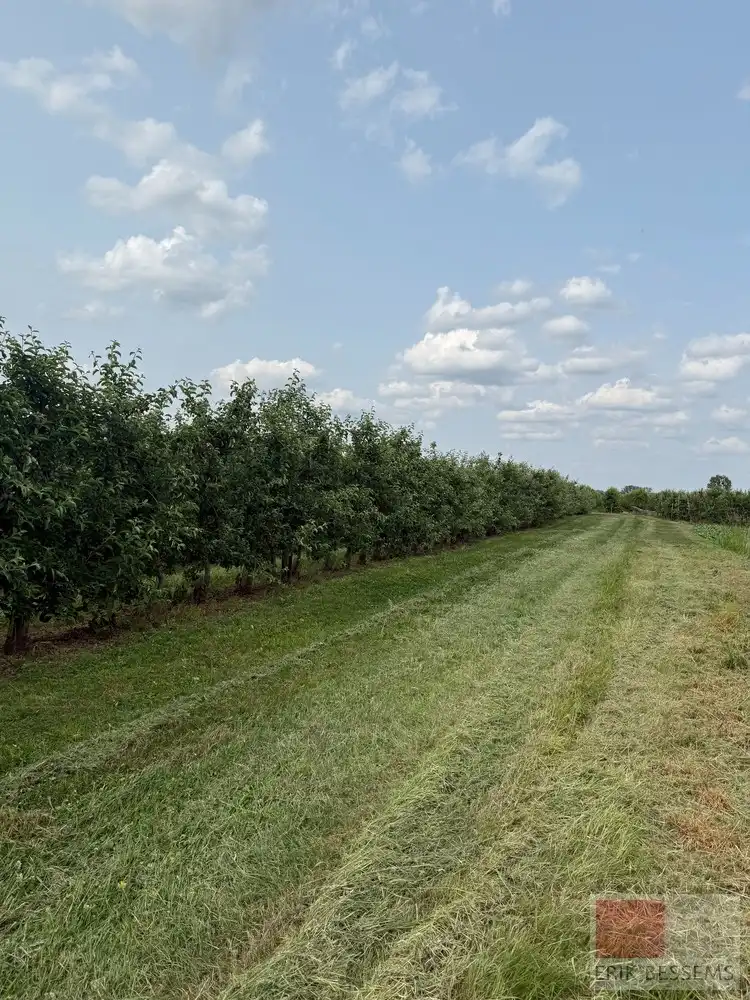 Grond te koop foto 8