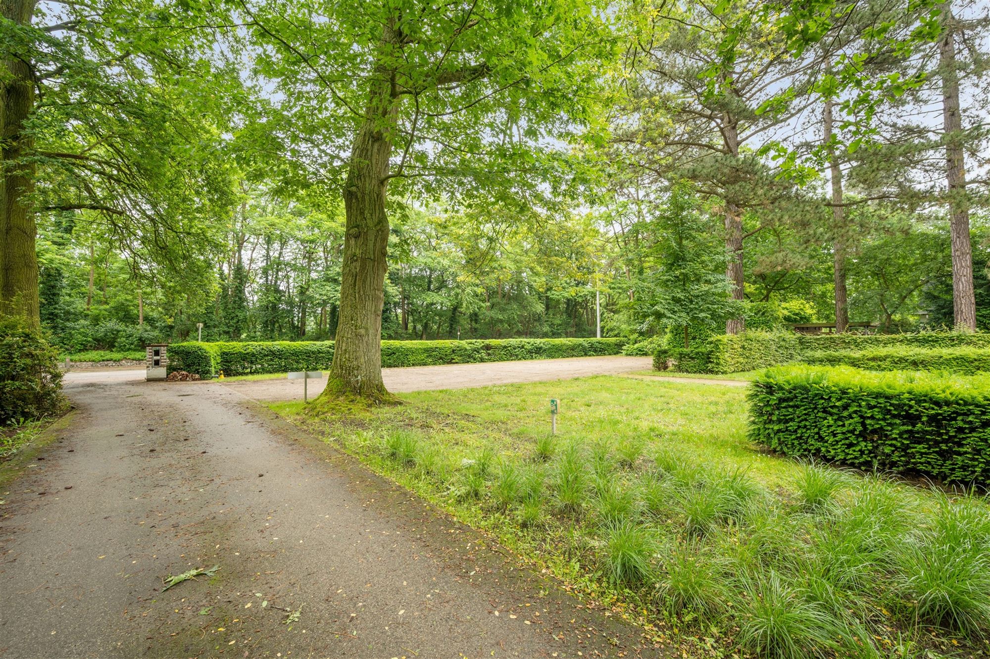 Uniek pand te koop in Bonheiden met tal van mogelijkheden foto 5