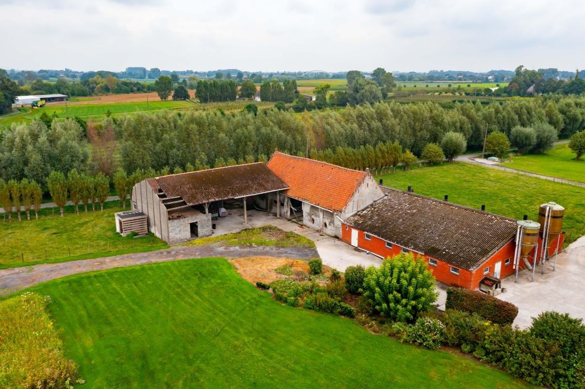 Subliem mooi gelegen hoeve te koop te Dentergem (Oeselgem) foto 5