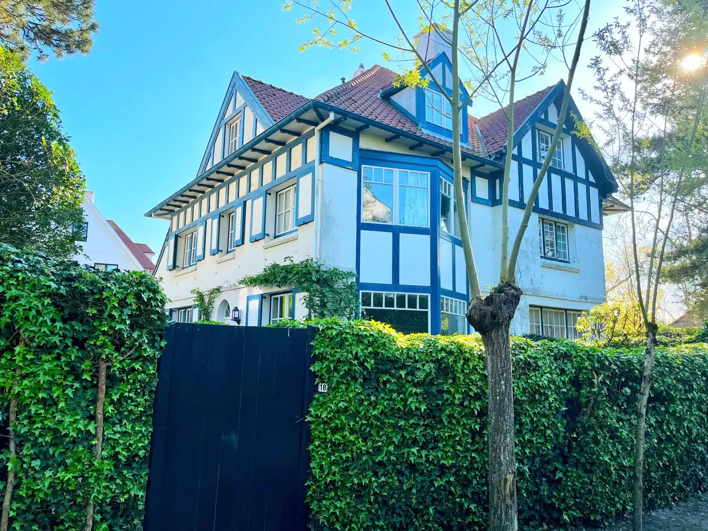 Charmante koppelvilla ideaal en rustig gelegen in een paadje in het Zoute. foto 29