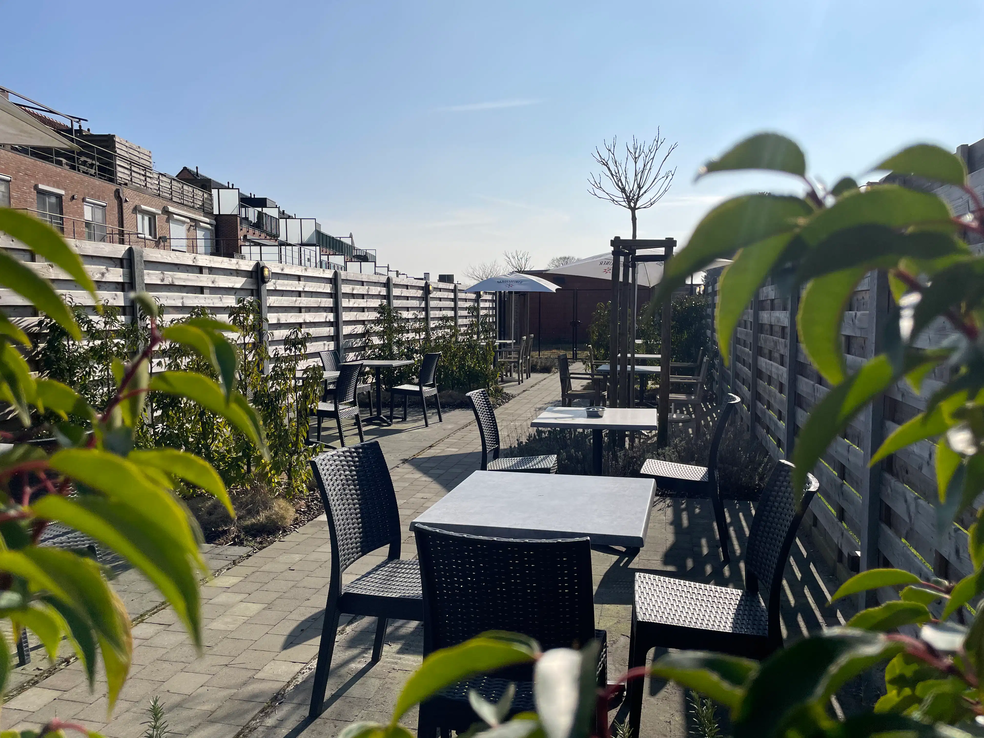 Unieke whisky en wijnbar foto 14