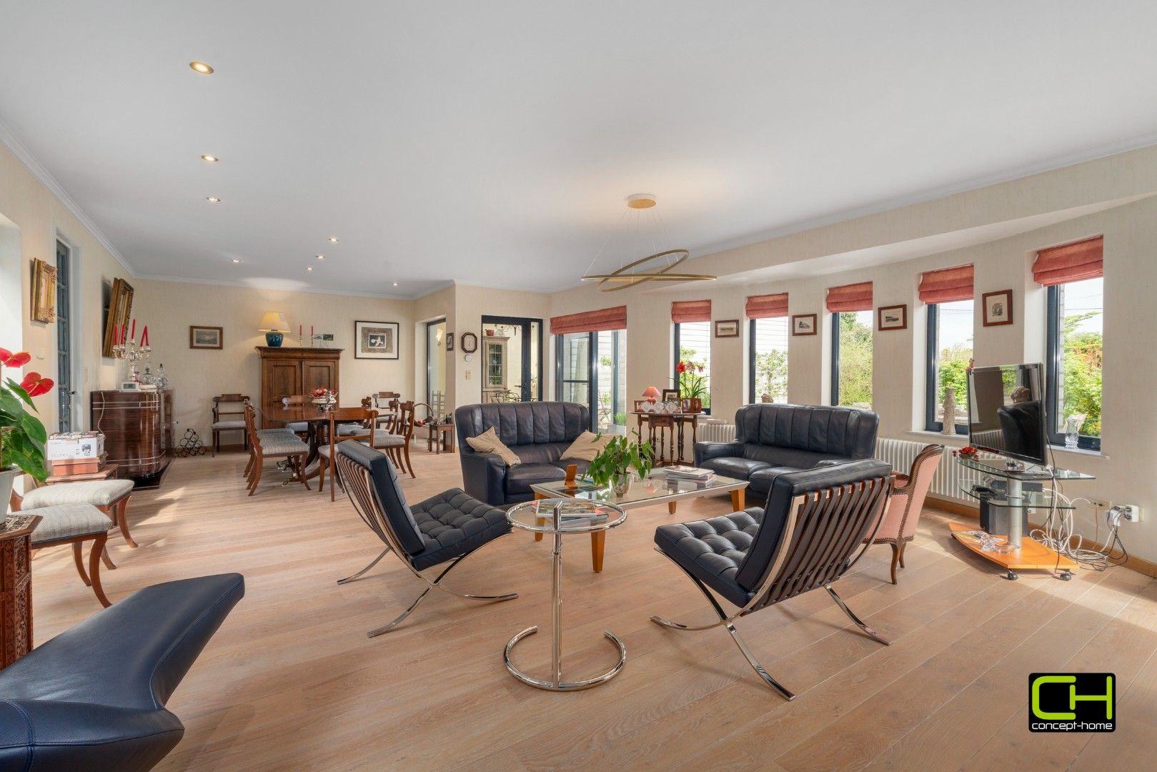 Villa met woonst en praktijkruimte te koop in Beke foto 3