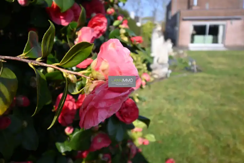 Charmante open bebouwing met 3 slpks en uitbreidingsmogelijkheden op topligging in De Pinte! foto 2