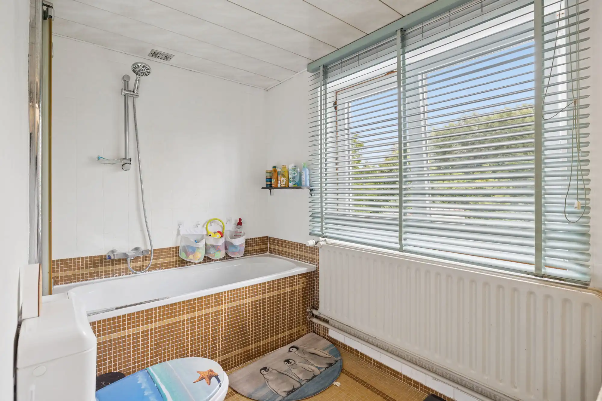 Instapklare woning met 3 slaapkamers en grote tuin foto 24