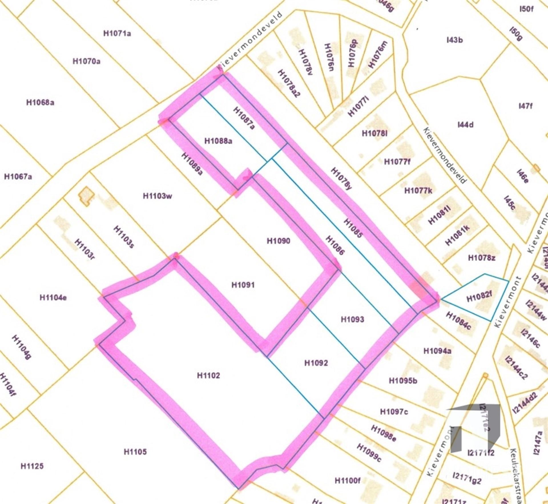 Uitgestrekte weilanden in Geel op 3 hectare 13 are en 77 centiare. foto 3